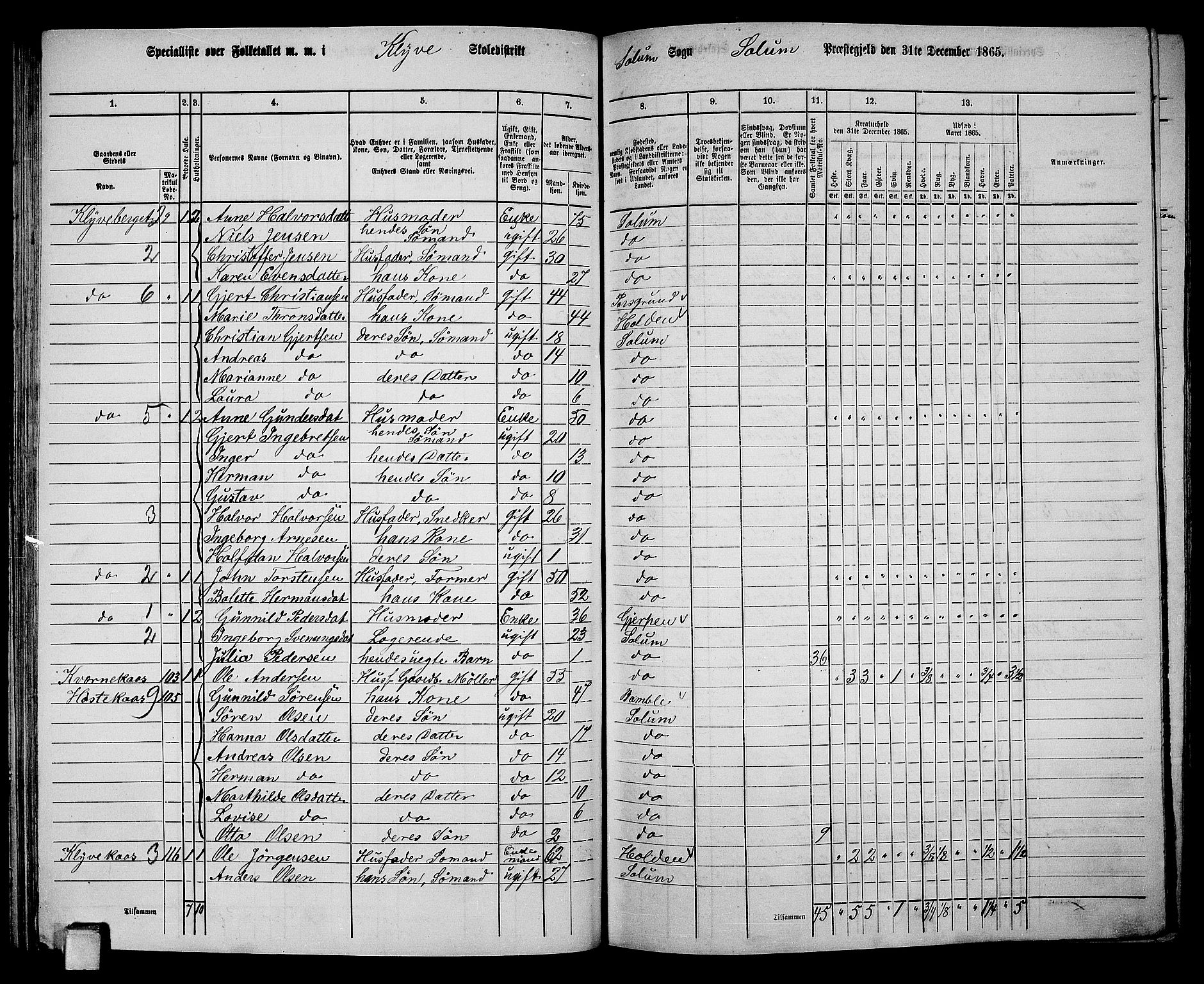 RA, 1865 census for Solum, 1865, p. 103