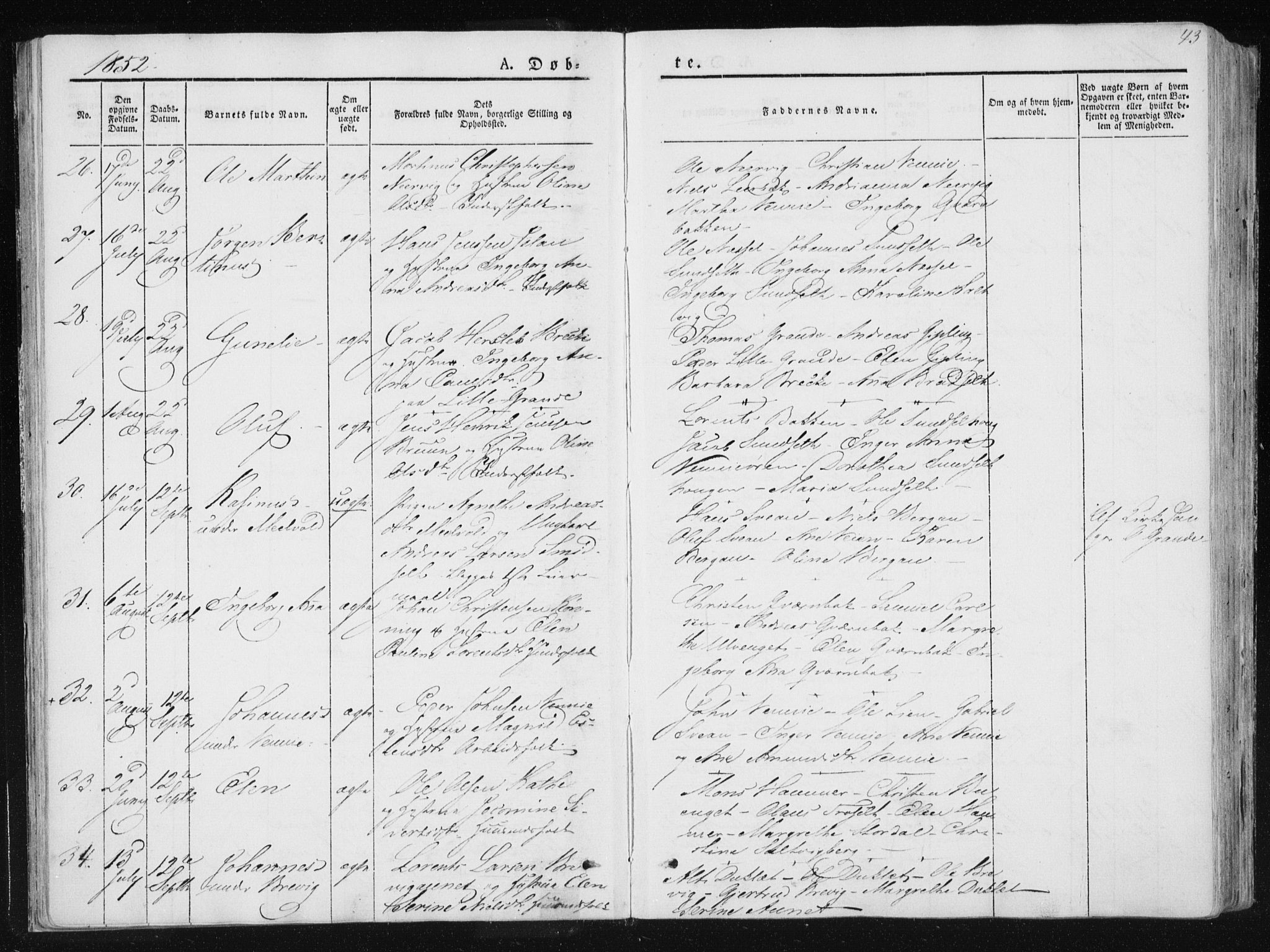 Ministerialprotokoller, klokkerbøker og fødselsregistre - Nord-Trøndelag, AV/SAT-A-1458/733/L0323: Parish register (official) no. 733A02, 1843-1870, p. 43