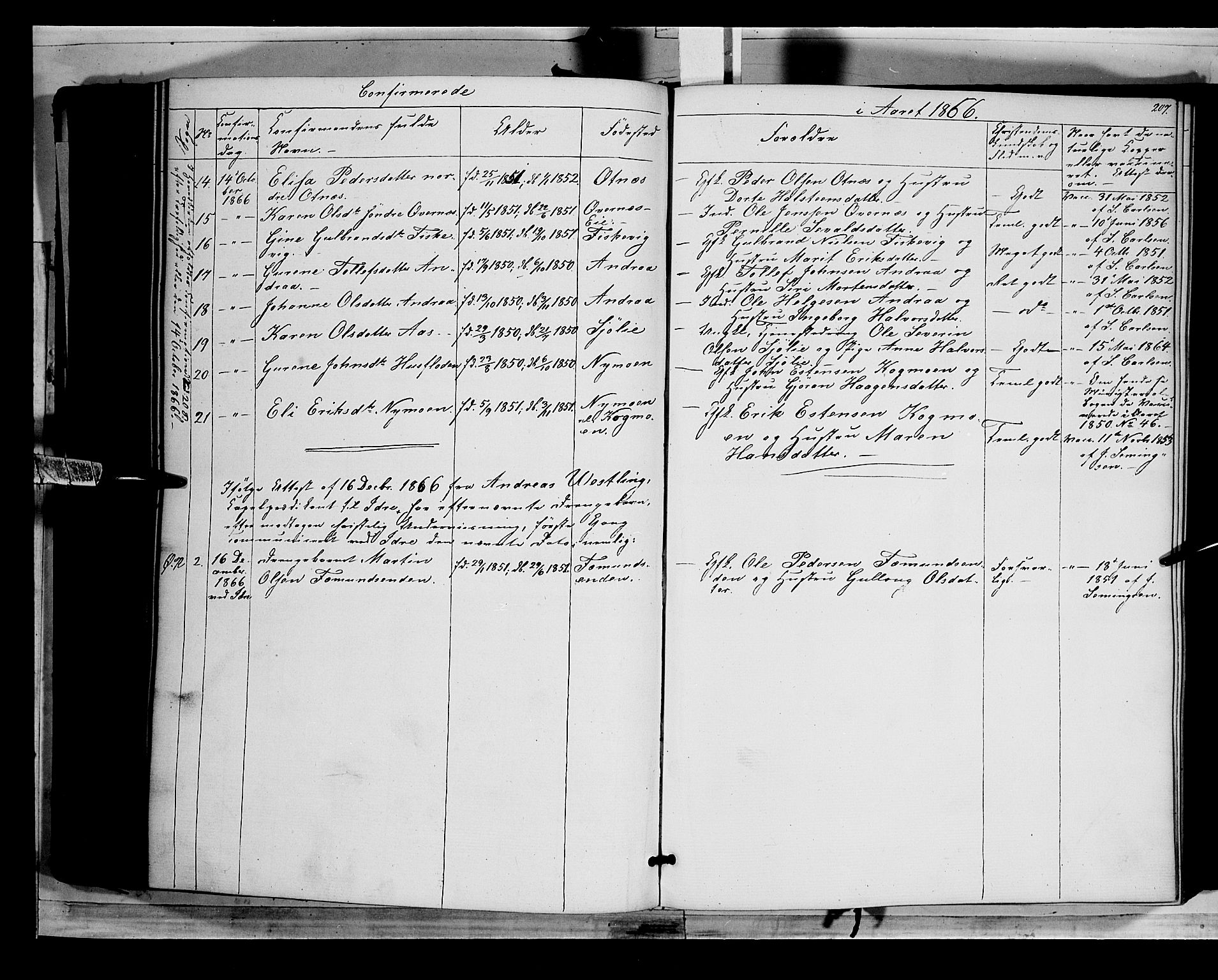 Rendalen prestekontor, SAH/PREST-054/H/Ha/Haa/L0005: Parish register (official) no. 5, 1853-1866, p. 207