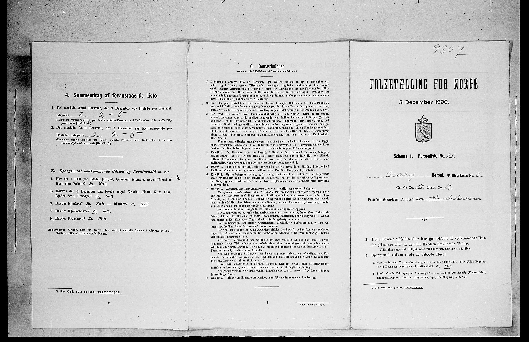 SAH, 1900 census for Eidskog, 1900, p. 495