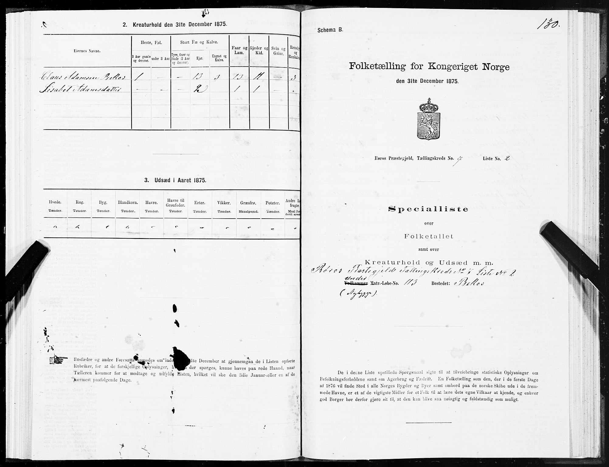 SAT, 1875 census for 1640P Røros, 1875, p. 4130