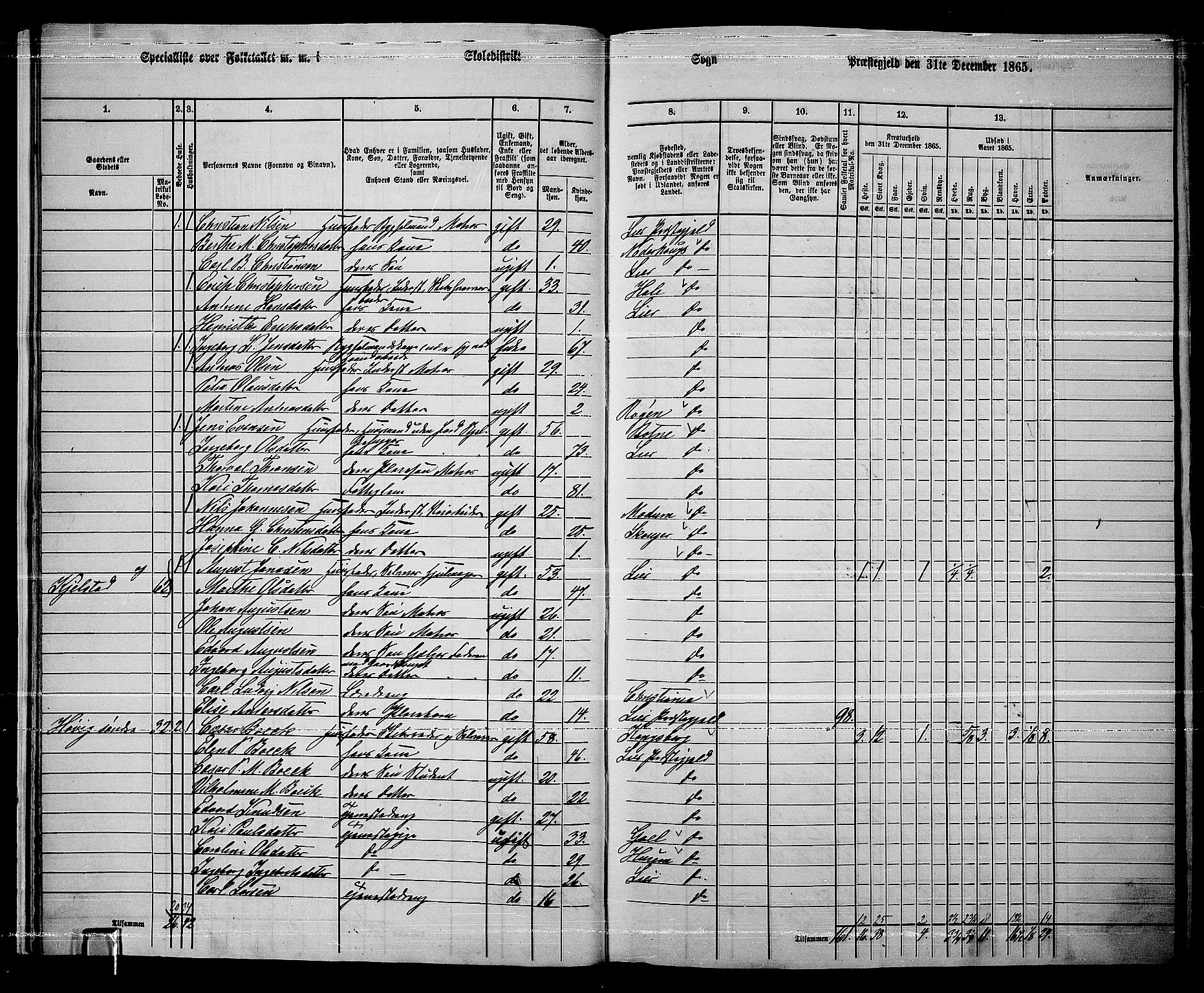 RA, 1865 census for Lier, 1865, p. 21