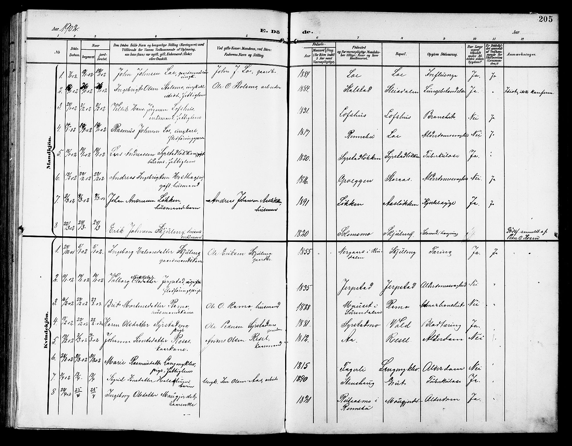 Ministerialprotokoller, klokkerbøker og fødselsregistre - Sør-Trøndelag, SAT/A-1456/672/L0864: Parish register (copy) no. 672C03, 1902-1914, p. 205