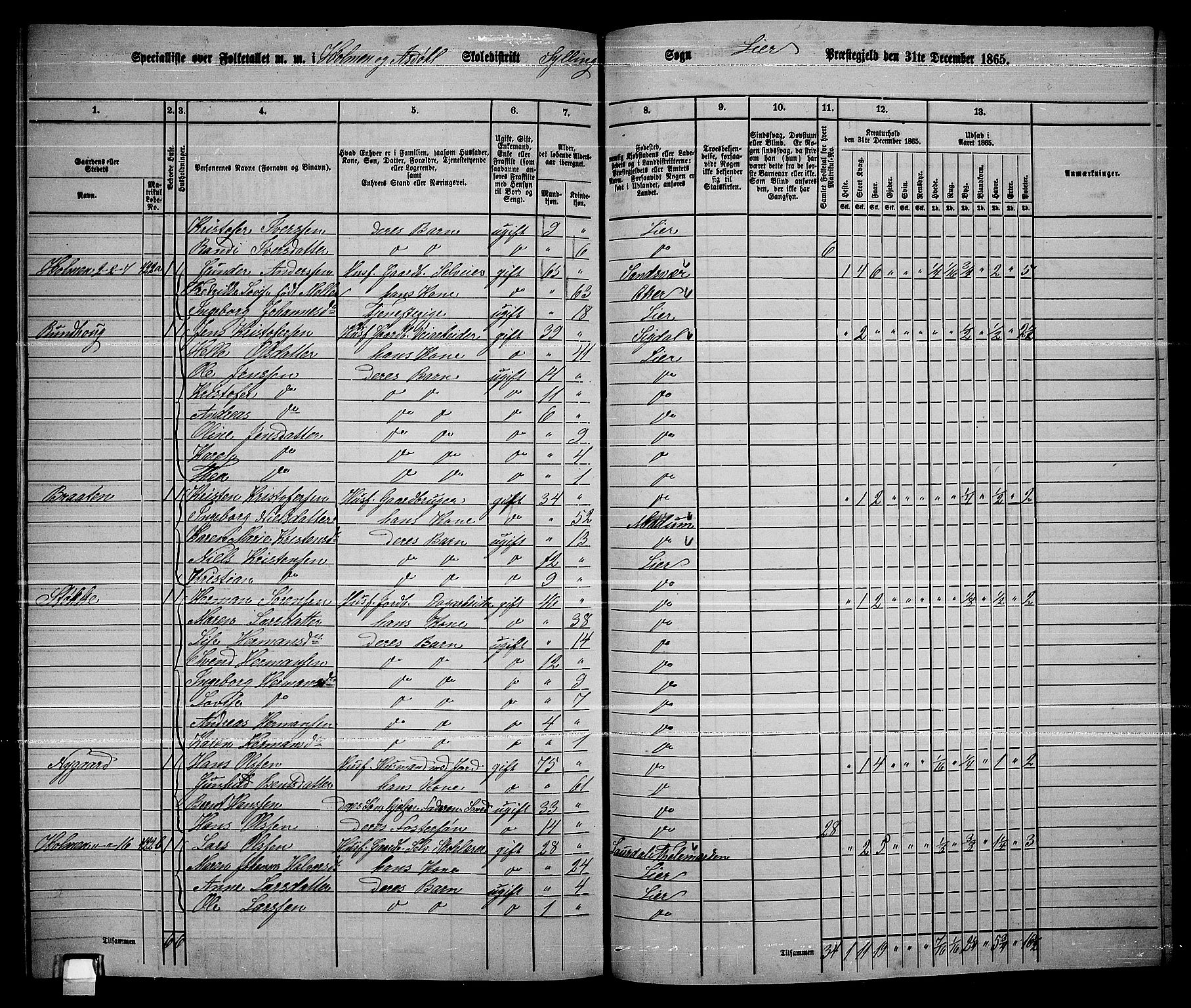 RA, 1865 census for Lier, 1865, p. 239