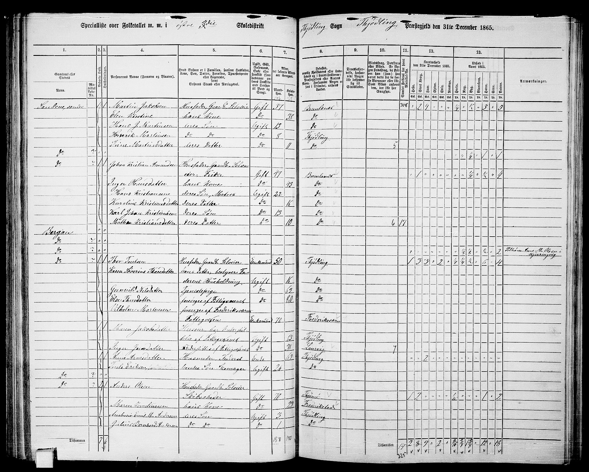 RA, 1865 census for Tjølling, 1865, p. 115