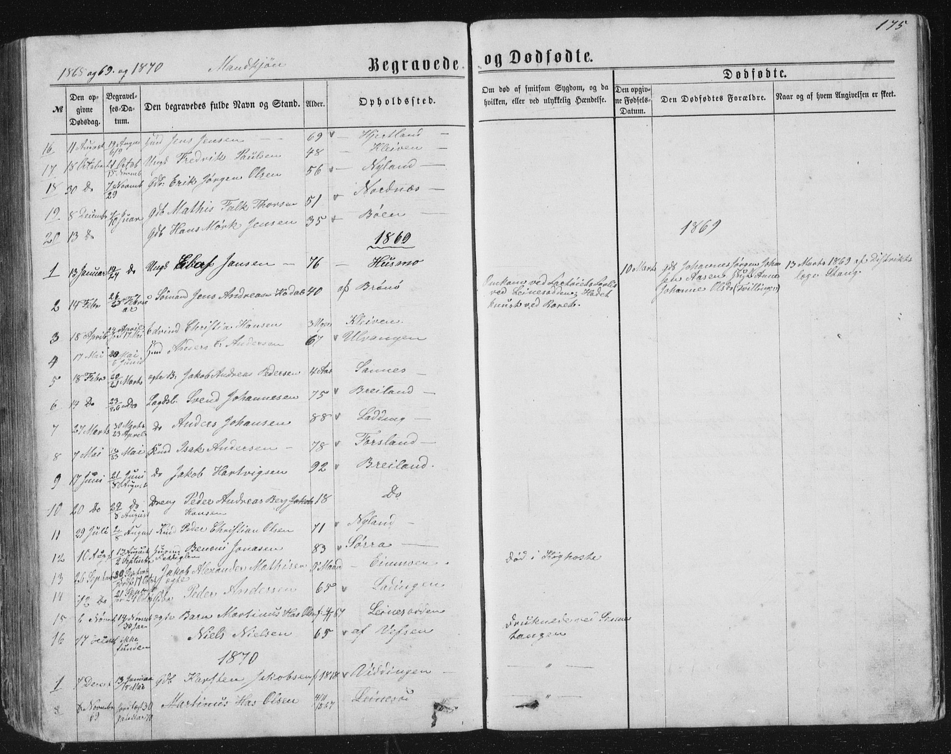 Ministerialprotokoller, klokkerbøker og fødselsregistre - Nordland, AV/SAT-A-1459/831/L0476: Parish register (copy) no. 831C03, 1866-1877, p. 175