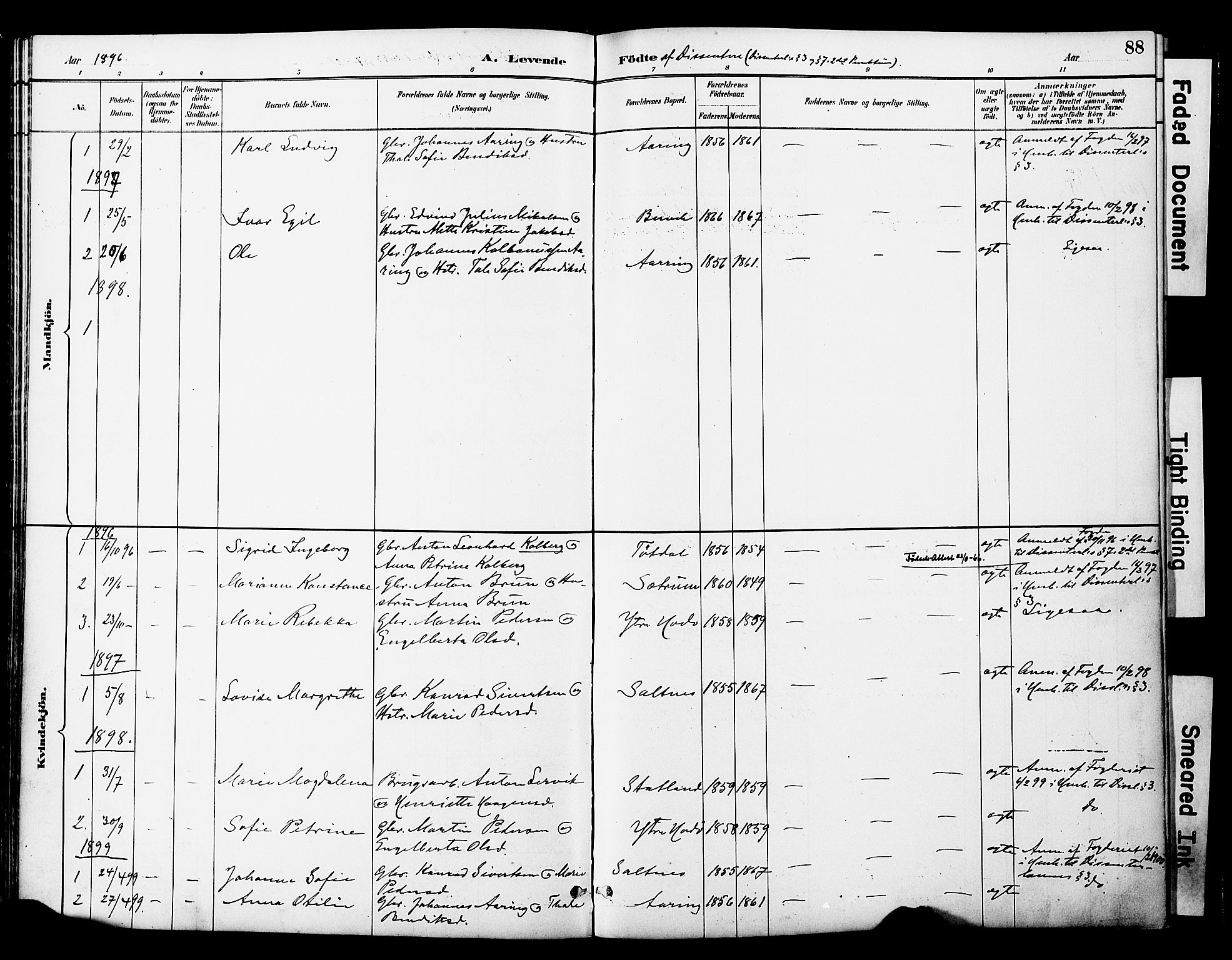 Ministerialprotokoller, klokkerbøker og fødselsregistre - Nord-Trøndelag, AV/SAT-A-1458/774/L0628: Parish register (official) no. 774A02, 1887-1903, p. 88