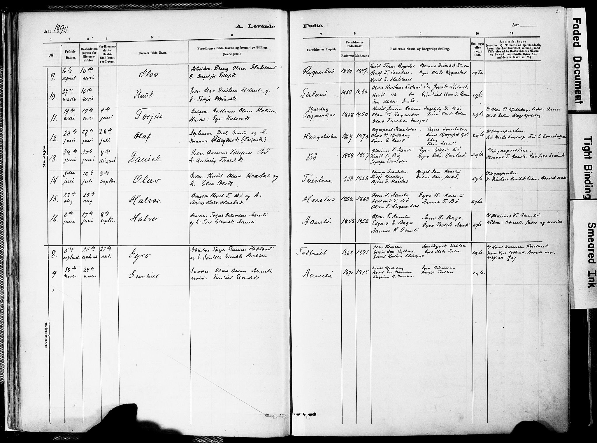 Valle sokneprestkontor, AV/SAK-1111-0044/F/Fa/Fac/L0009: Parish register (official) no. A 9, 1882-1913, p. 30