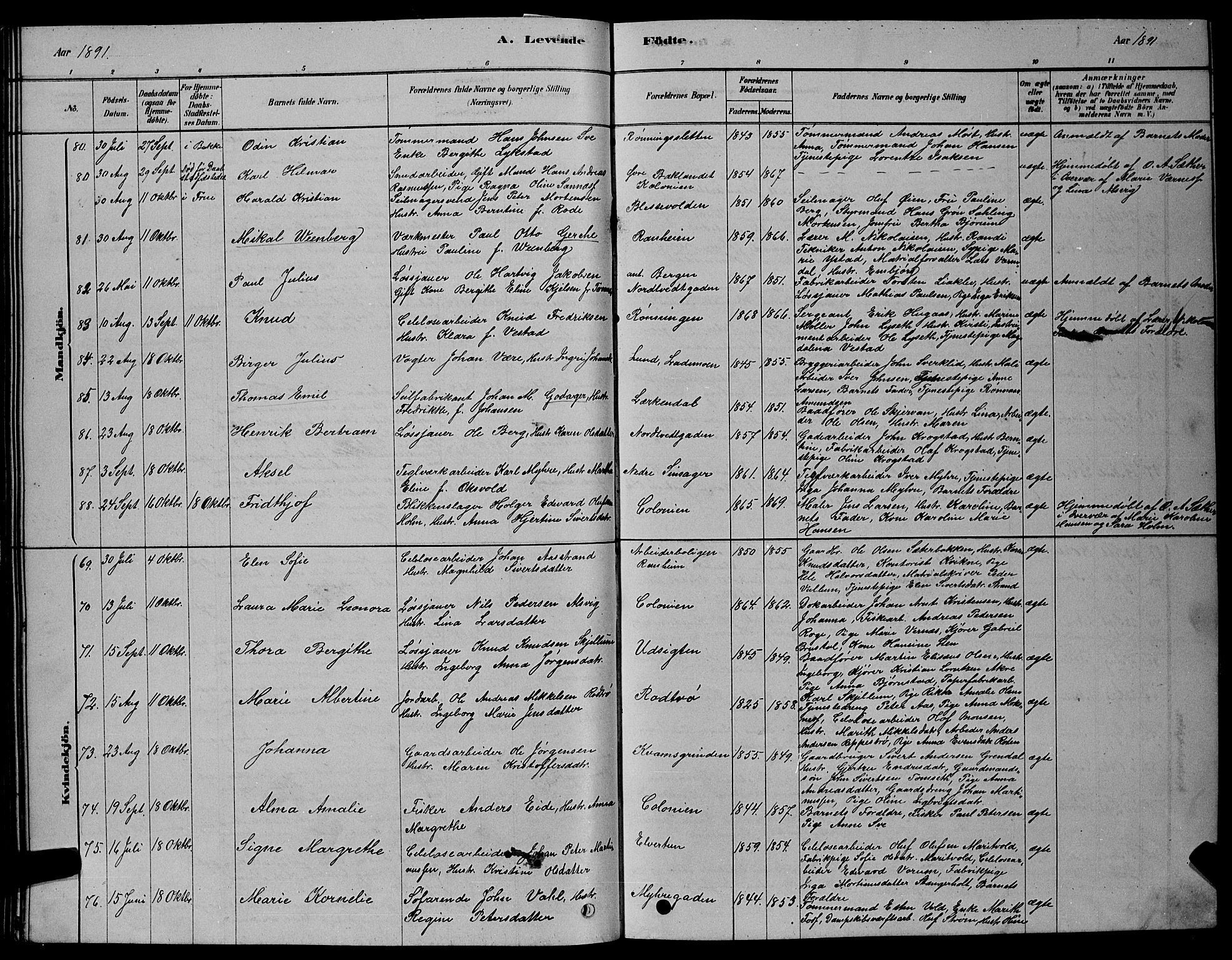 Ministerialprotokoller, klokkerbøker og fødselsregistre - Sør-Trøndelag, AV/SAT-A-1456/606/L0312: Parish register (copy) no. 606C08, 1878-1894