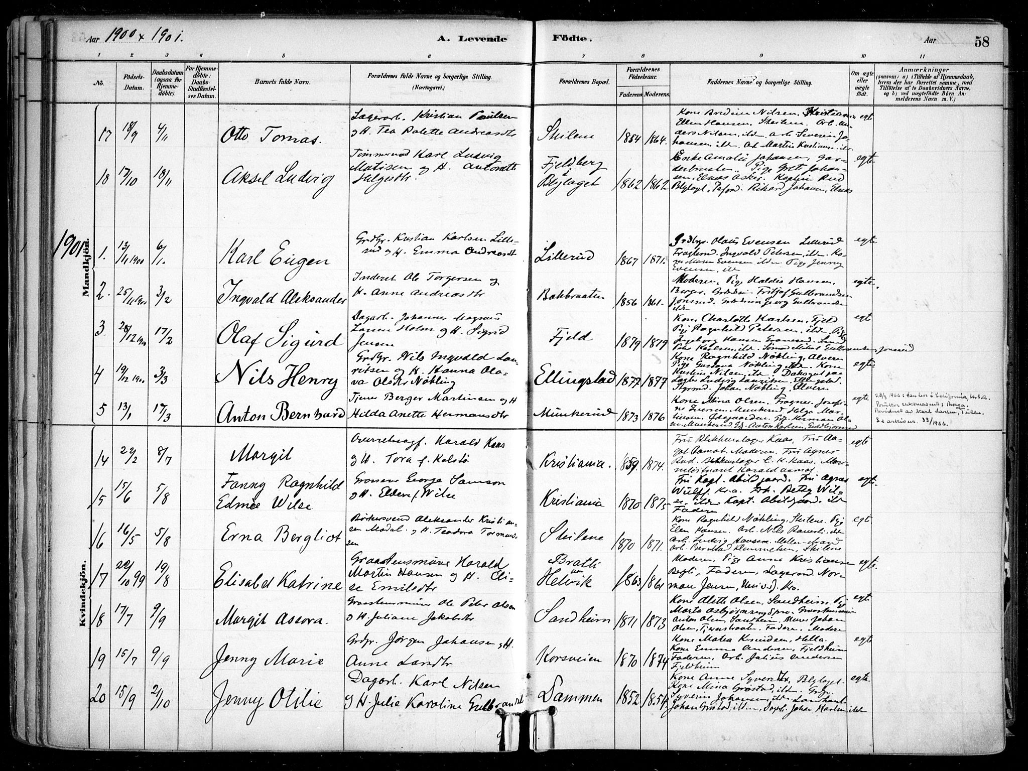 Nesodden prestekontor Kirkebøker, SAO/A-10013/F/Fa/L0009: Parish register (official) no. I 9, 1880-1915, p. 58