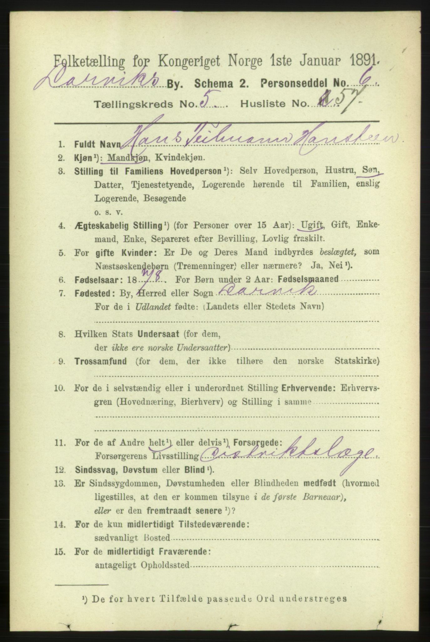 RA, 1891 census for 0707 Larvik, 1891, p. 6563