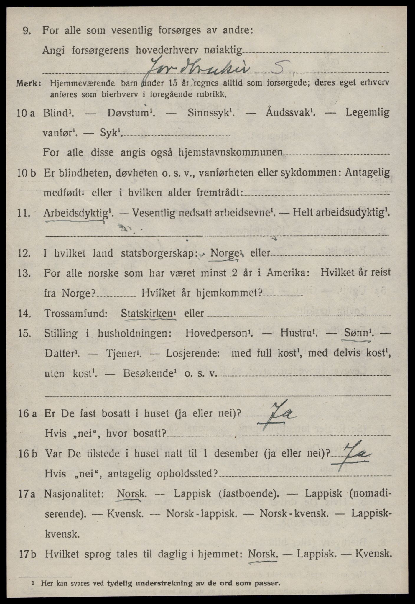 SAT, 1920 census for Strinda, 1920, p. 14519