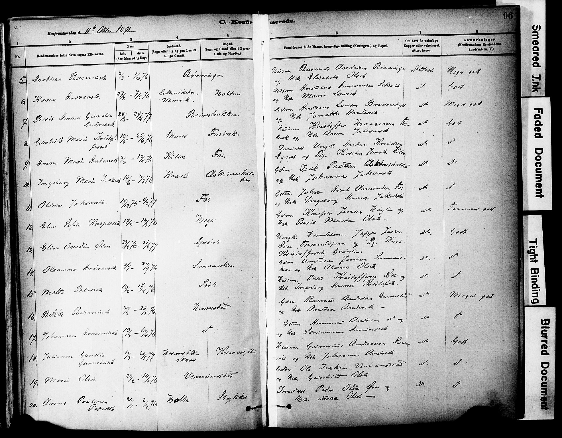 Ministerialprotokoller, klokkerbøker og fødselsregistre - Sør-Trøndelag, SAT/A-1456/646/L0615: Parish register (official) no. 646A13, 1885-1900, p. 96