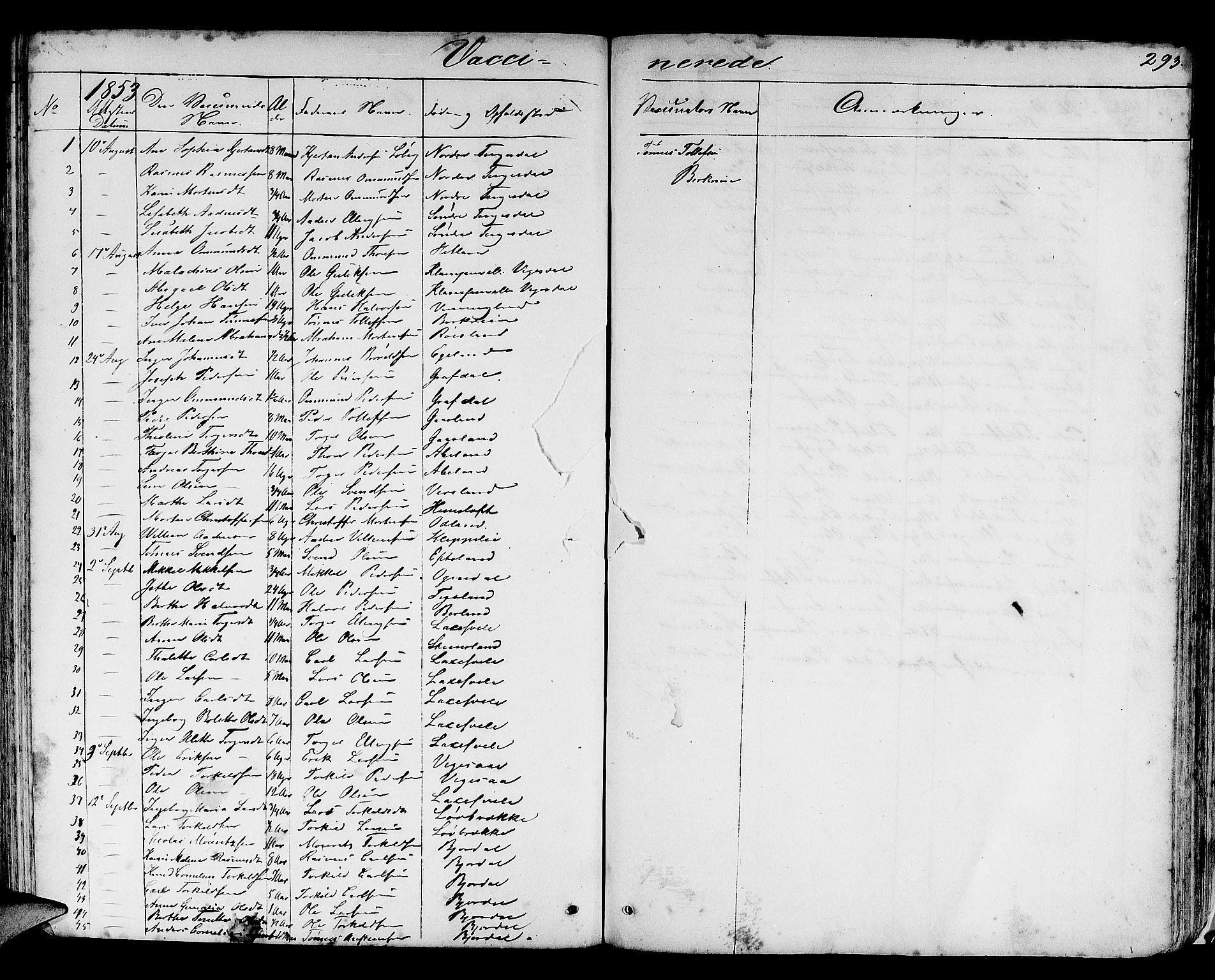 Helleland sokneprestkontor, SAST/A-101810: Parish register (copy) no. B 3, 1847-1886, p. 293