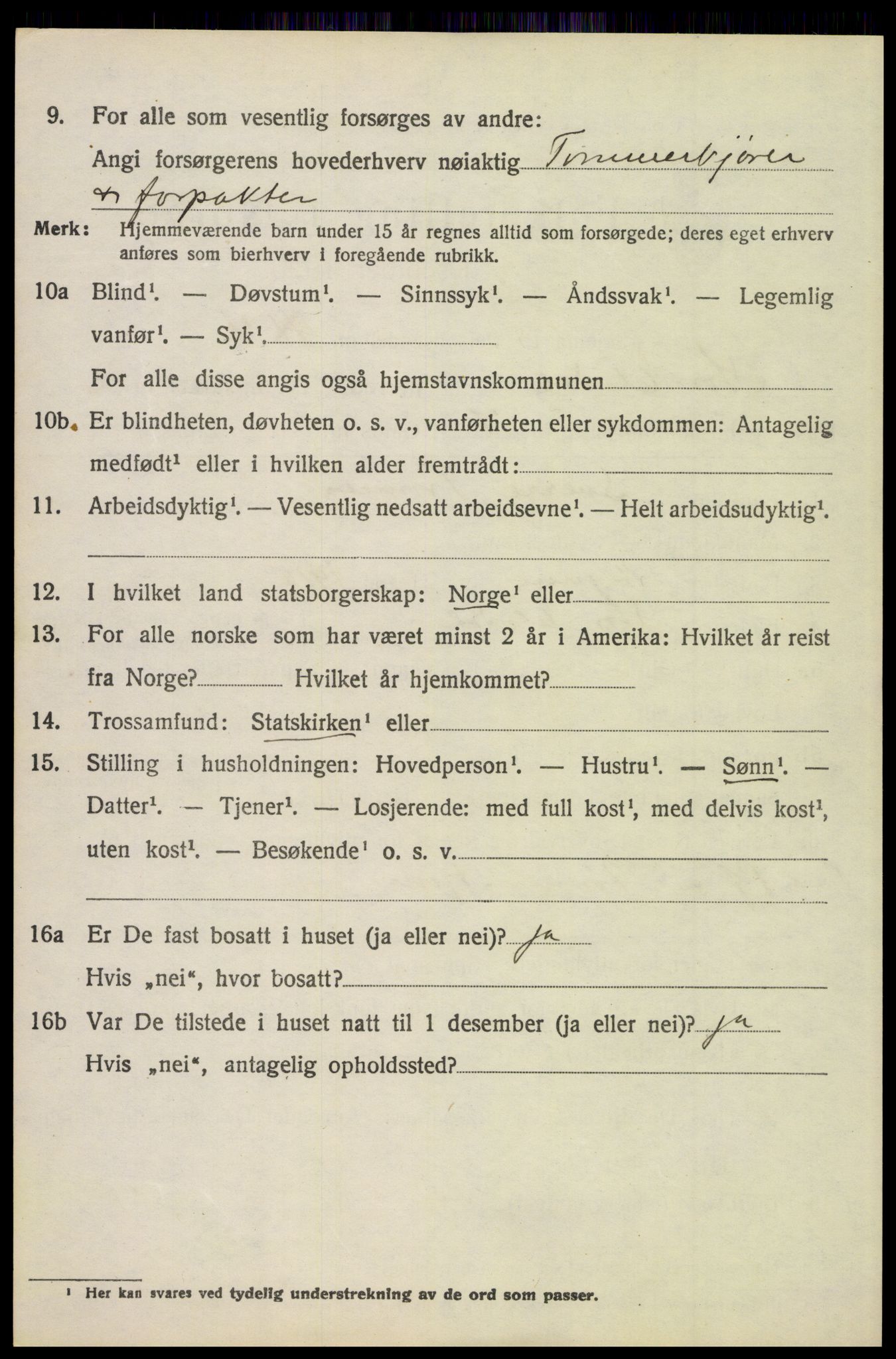 SAH, 1920 census for Stor-Elvdal, 1920, p. 4991