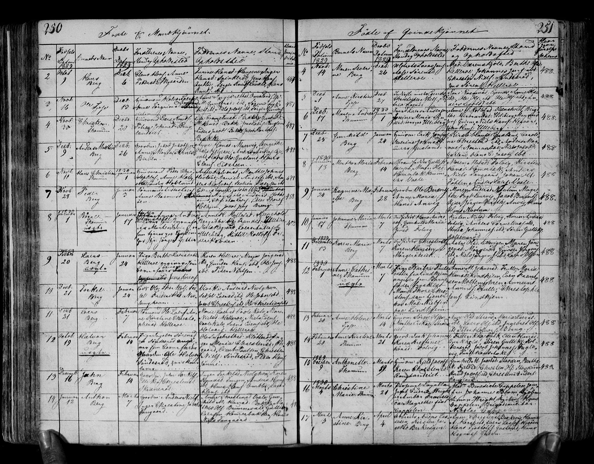 Brunlanes kirkebøker, AV/SAKO-A-342/F/Fa/L0002: Parish register (official) no. I 2, 1802-1834, p. 250-251