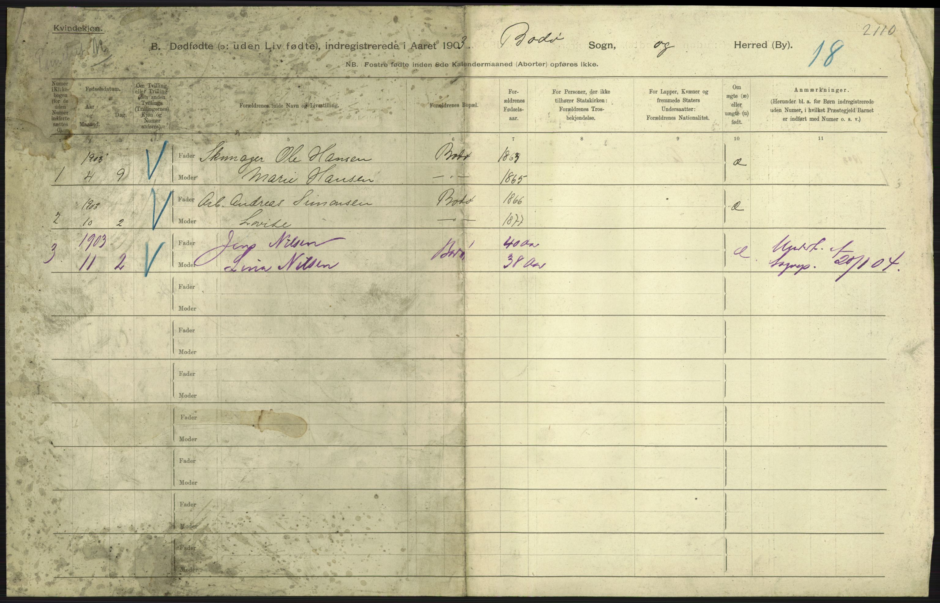 Statistisk sentralbyrå, Sosiodemografiske emner, Befolkning, RA/S-2228/D/Df/Dfa/Dfaa/L0026: Smålenenes - Finnmarkens amt: Dødfødte. Byer., 1903, p. 229