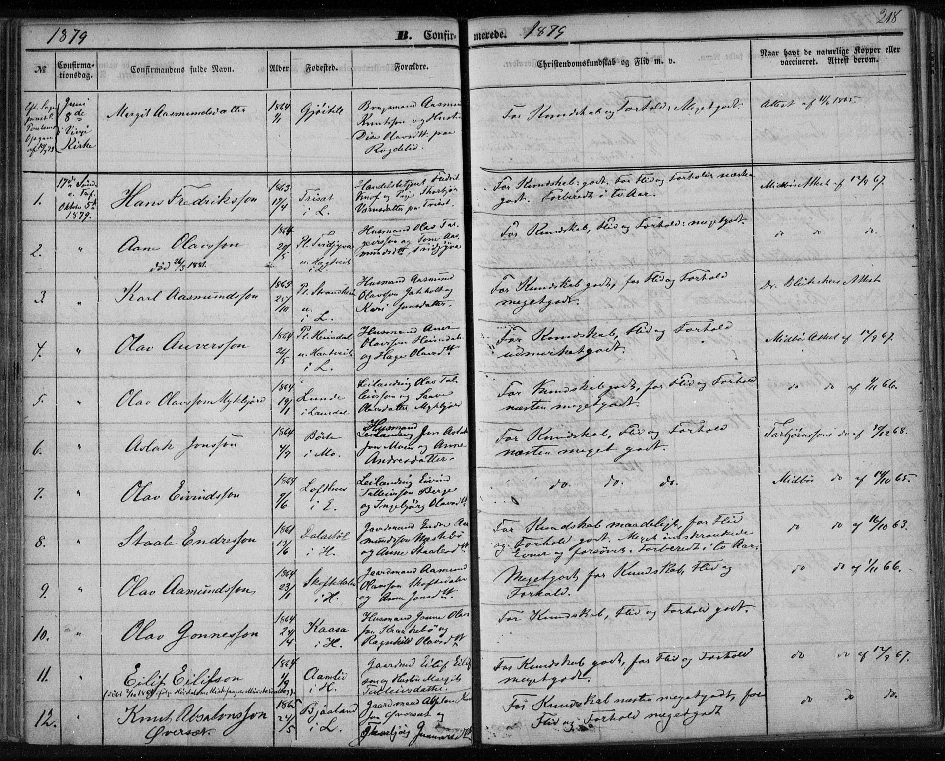 Lårdal kirkebøker, AV/SAKO-A-284/F/Fa/L0006: Parish register (official) no. I 6, 1861-1886, p. 218