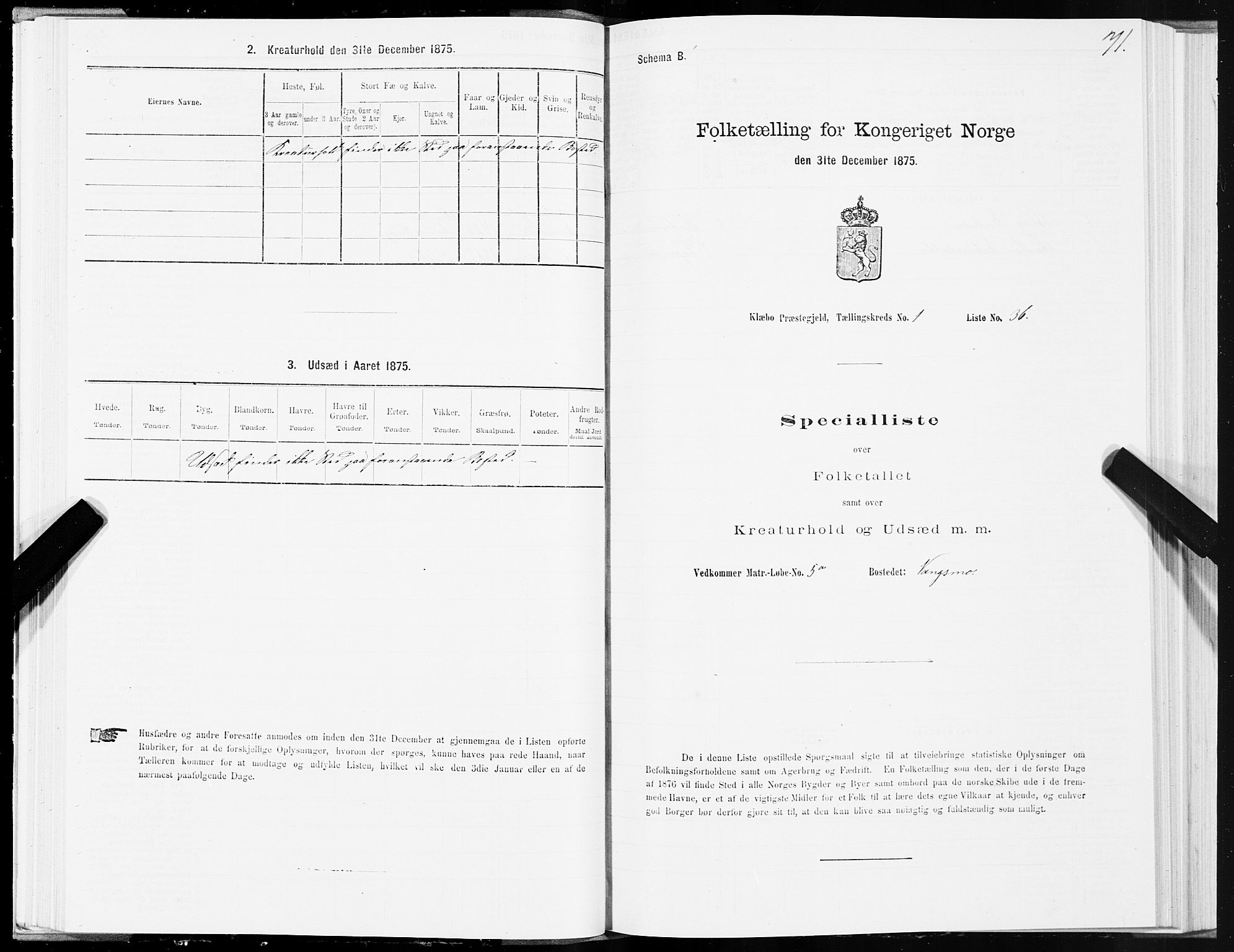 SAT, 1875 census for 1662P Klæbu, 1875, p. 1071