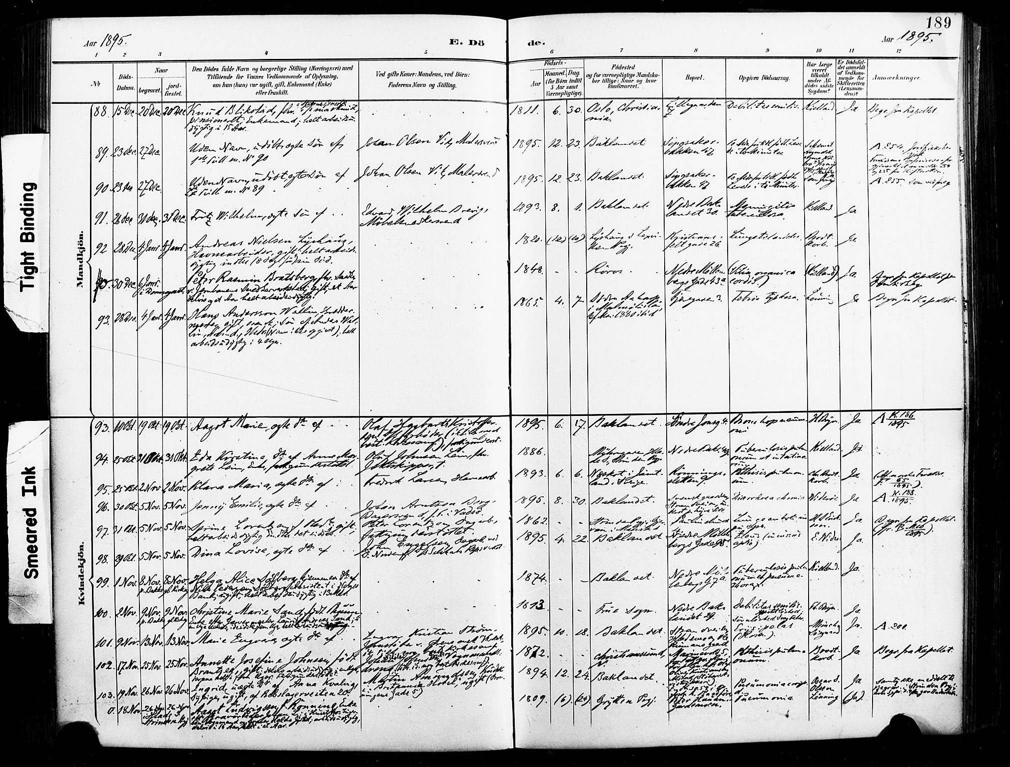 Ministerialprotokoller, klokkerbøker og fødselsregistre - Sør-Trøndelag, AV/SAT-A-1456/604/L0198: Parish register (official) no. 604A19, 1893-1900, p. 189