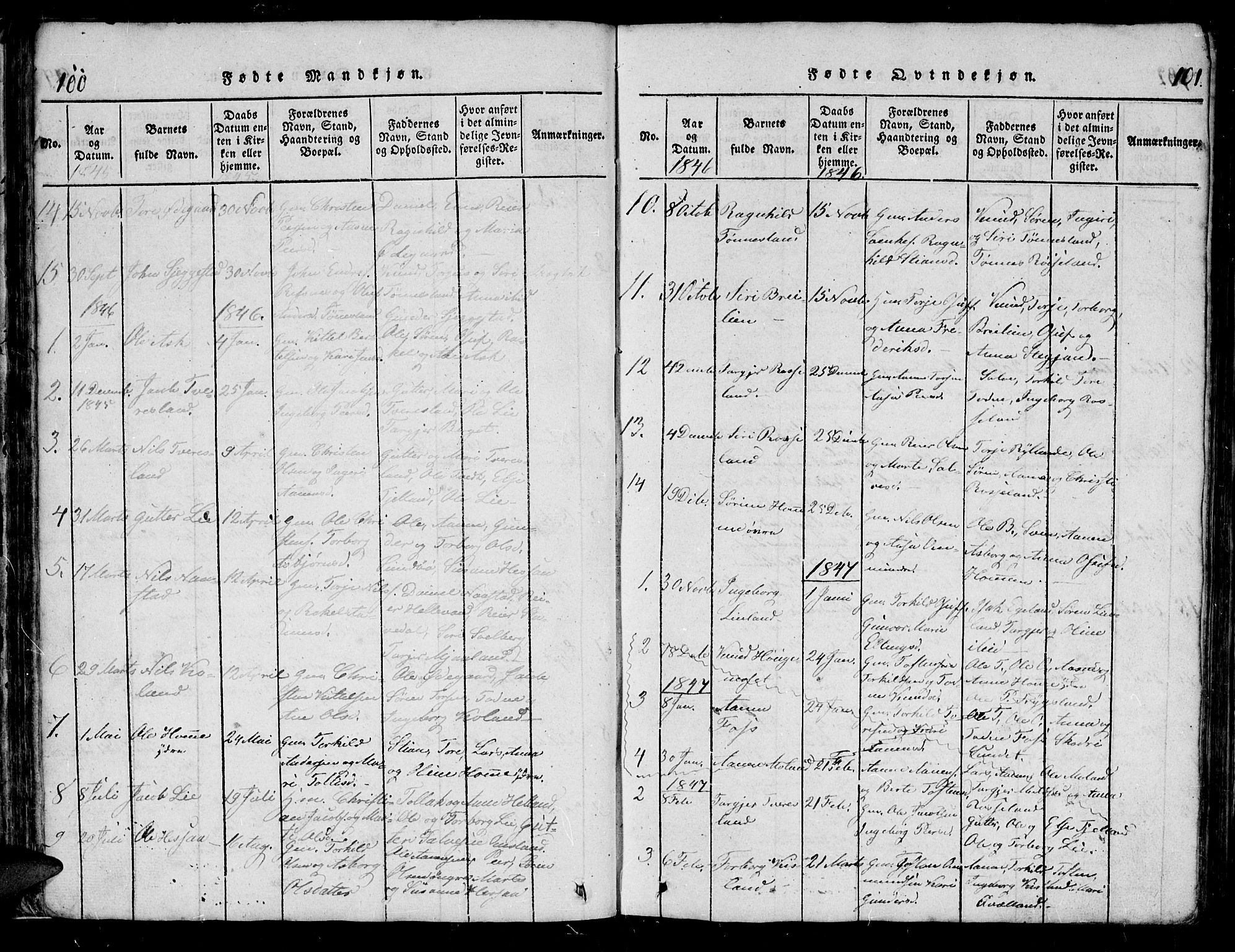 Bjelland sokneprestkontor, AV/SAK-1111-0005/F/Fb/Fba/L0003: Parish register (copy) no. B 3, 1816-1870, p. 100-101