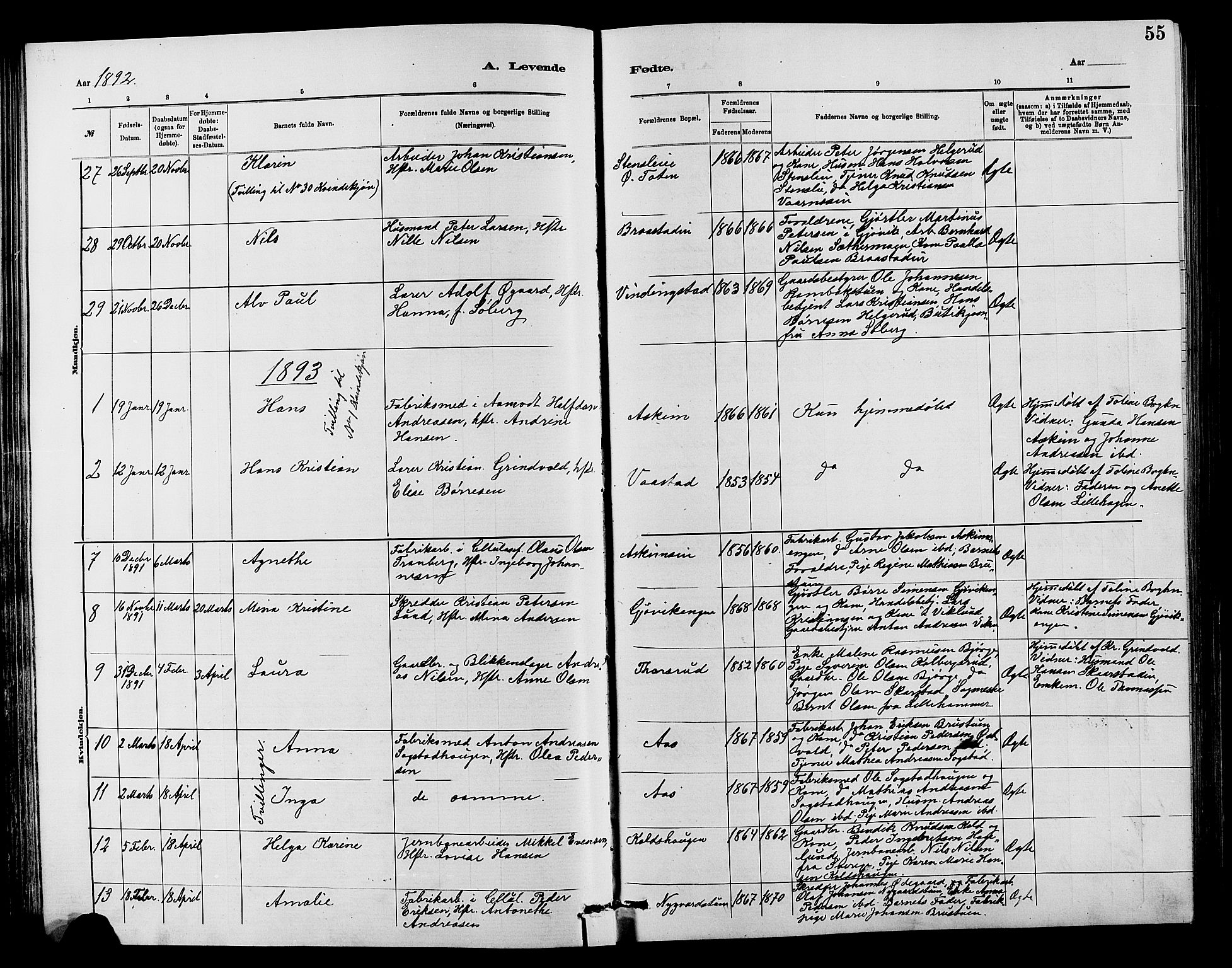 Vardal prestekontor, SAH/PREST-100/H/Ha/Hab/L0007: Parish register (copy) no. 7 /1, 1881-1895, p. 55