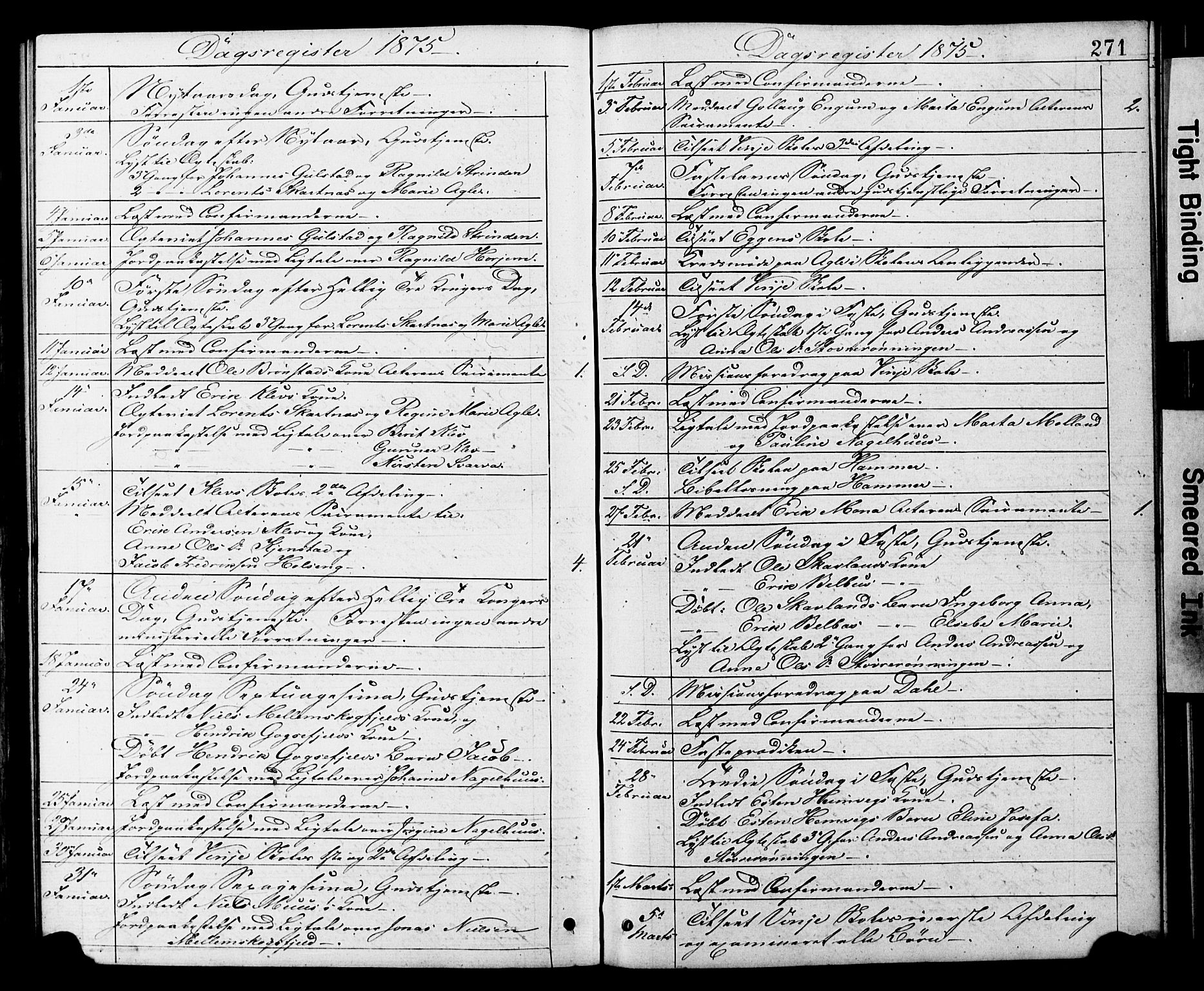 Ministerialprotokoller, klokkerbøker og fødselsregistre - Nord-Trøndelag, SAT/A-1458/749/L0473: Parish register (official) no. 749A07, 1873-1887, p. 271
