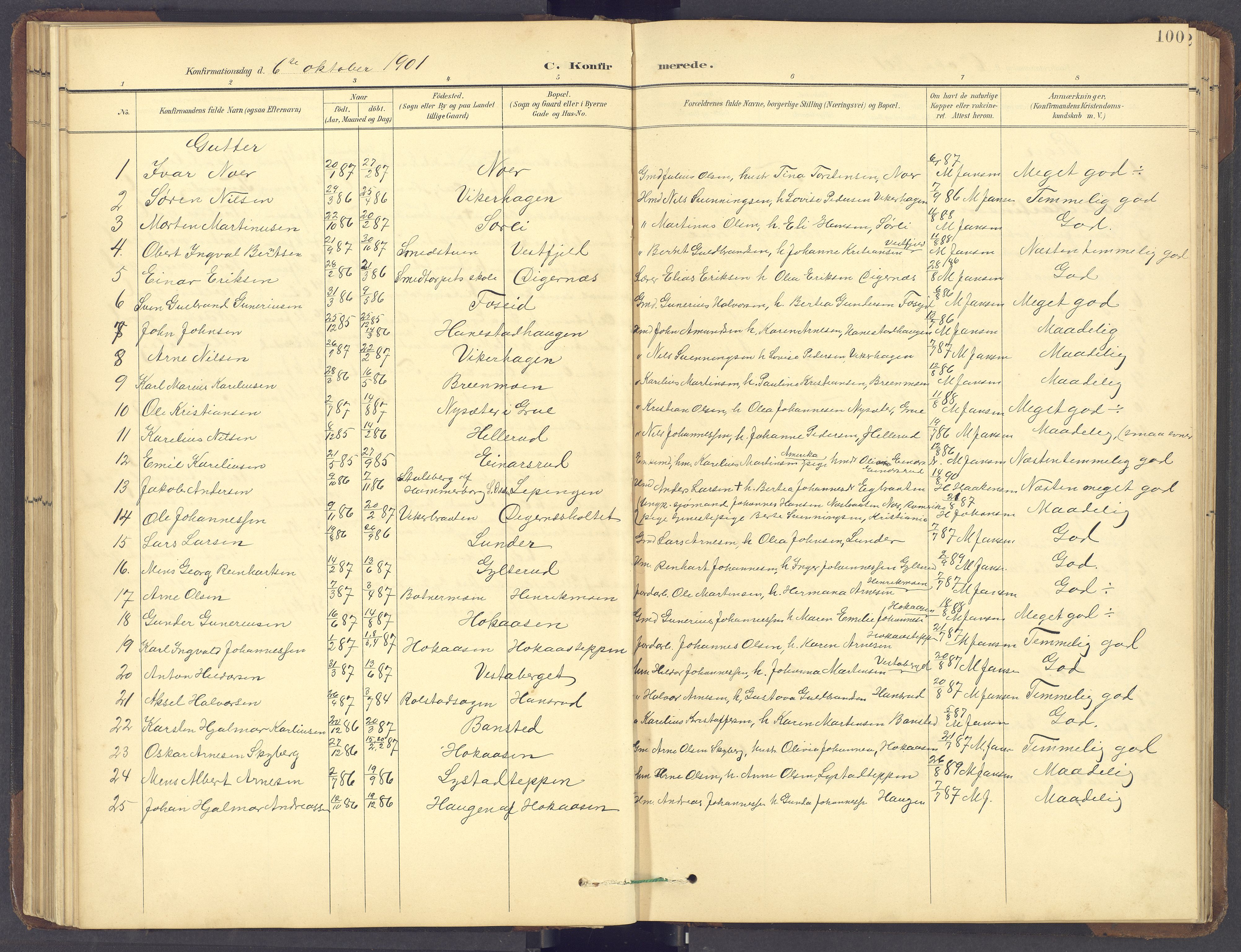 Brandval prestekontor, SAH/PREST-034/H/Ha/Hab/L0002: Parish register (copy) no. 2, 1895-1904, p. 100