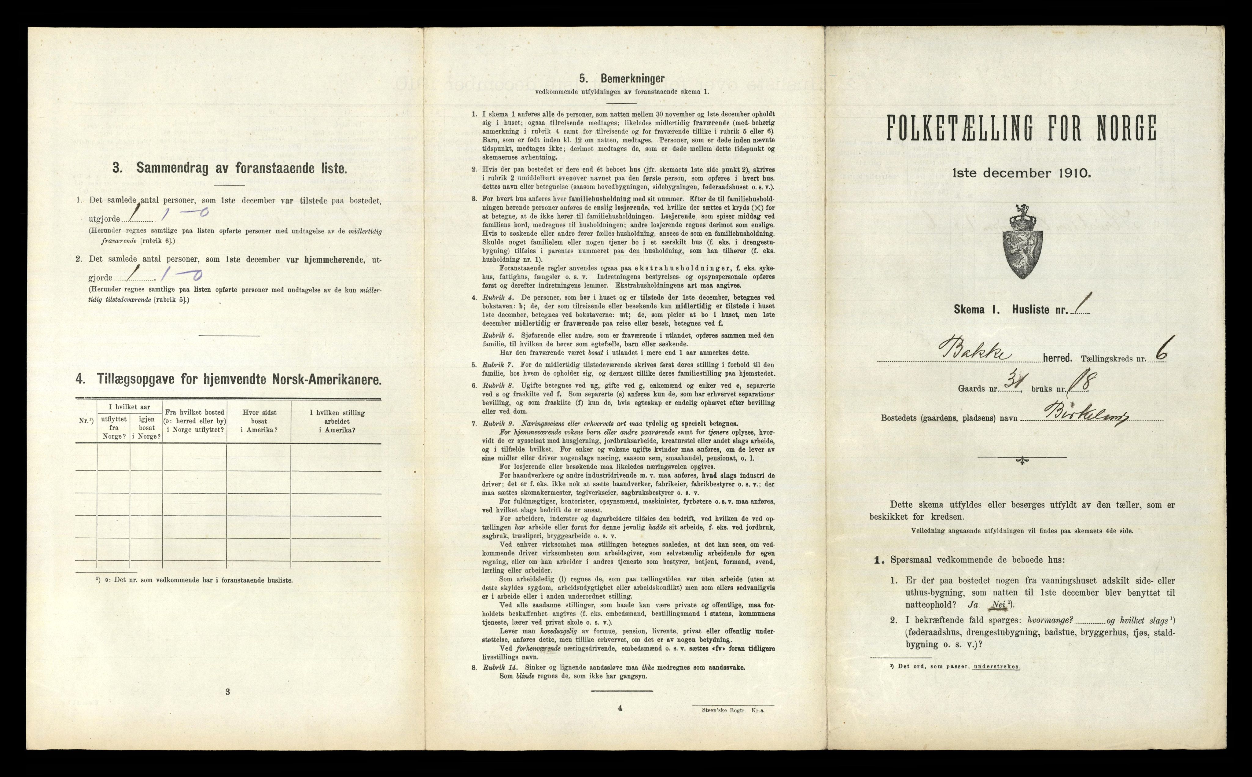RA, 1910 census for Bakke, 1910, p. 301