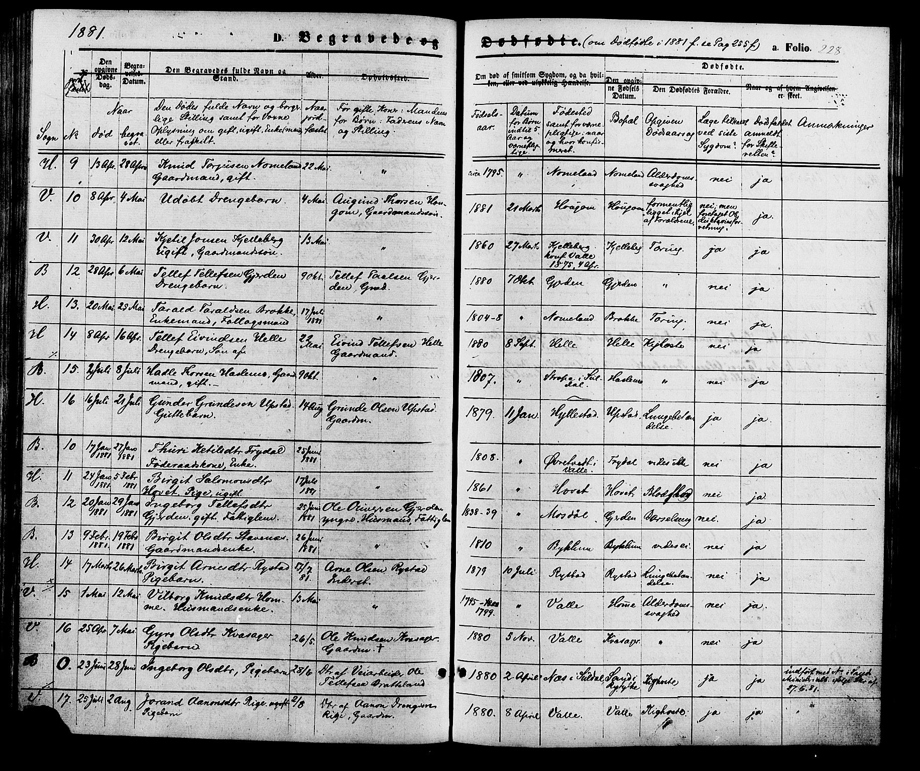Valle sokneprestkontor, SAK/1111-0044/F/Fa/Fac/L0008: Parish register (official) no. A 8, 1868-1882, p. 228