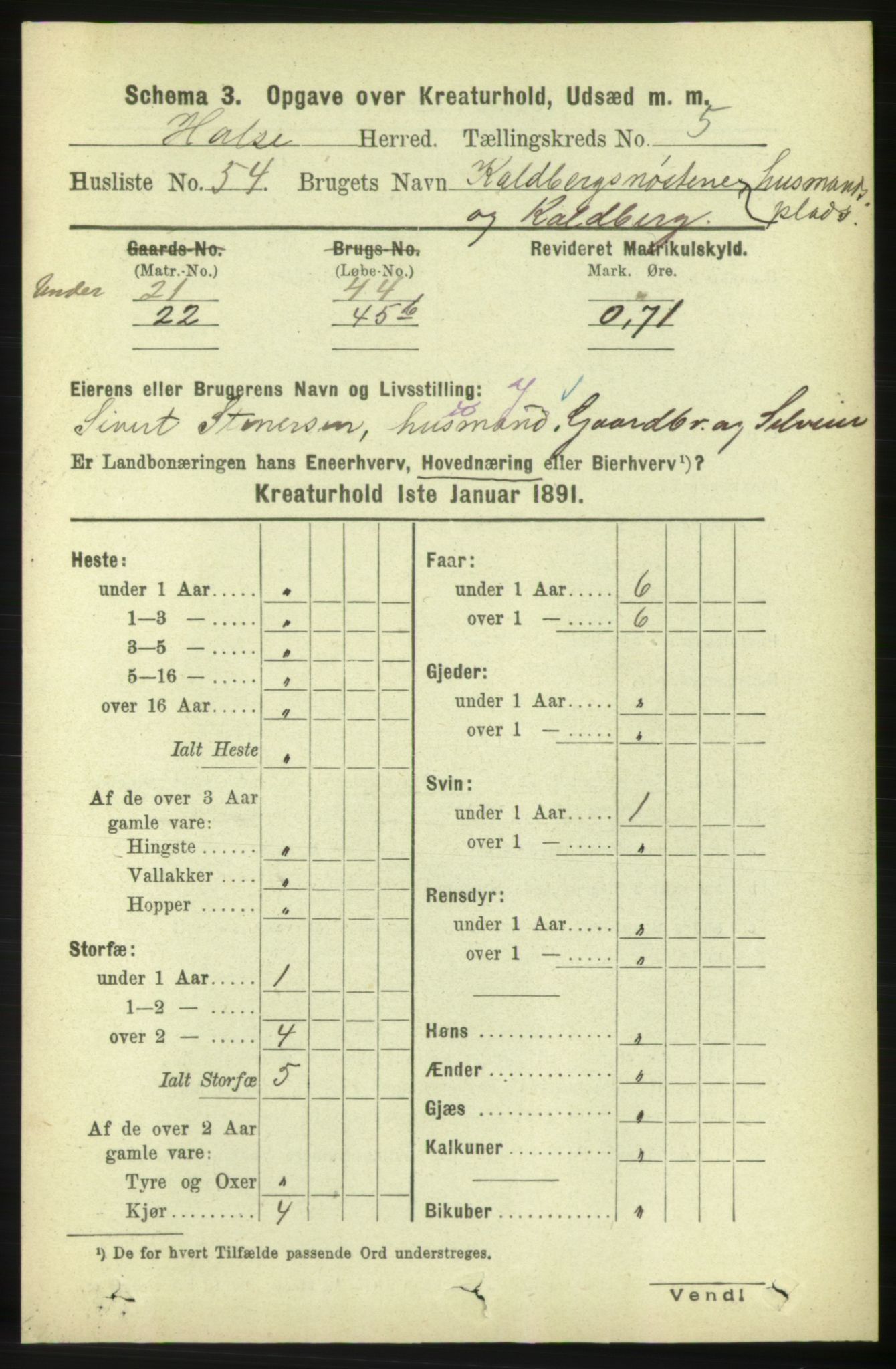RA, 1891 census for 1571 Halsa, 1891, p. 2074