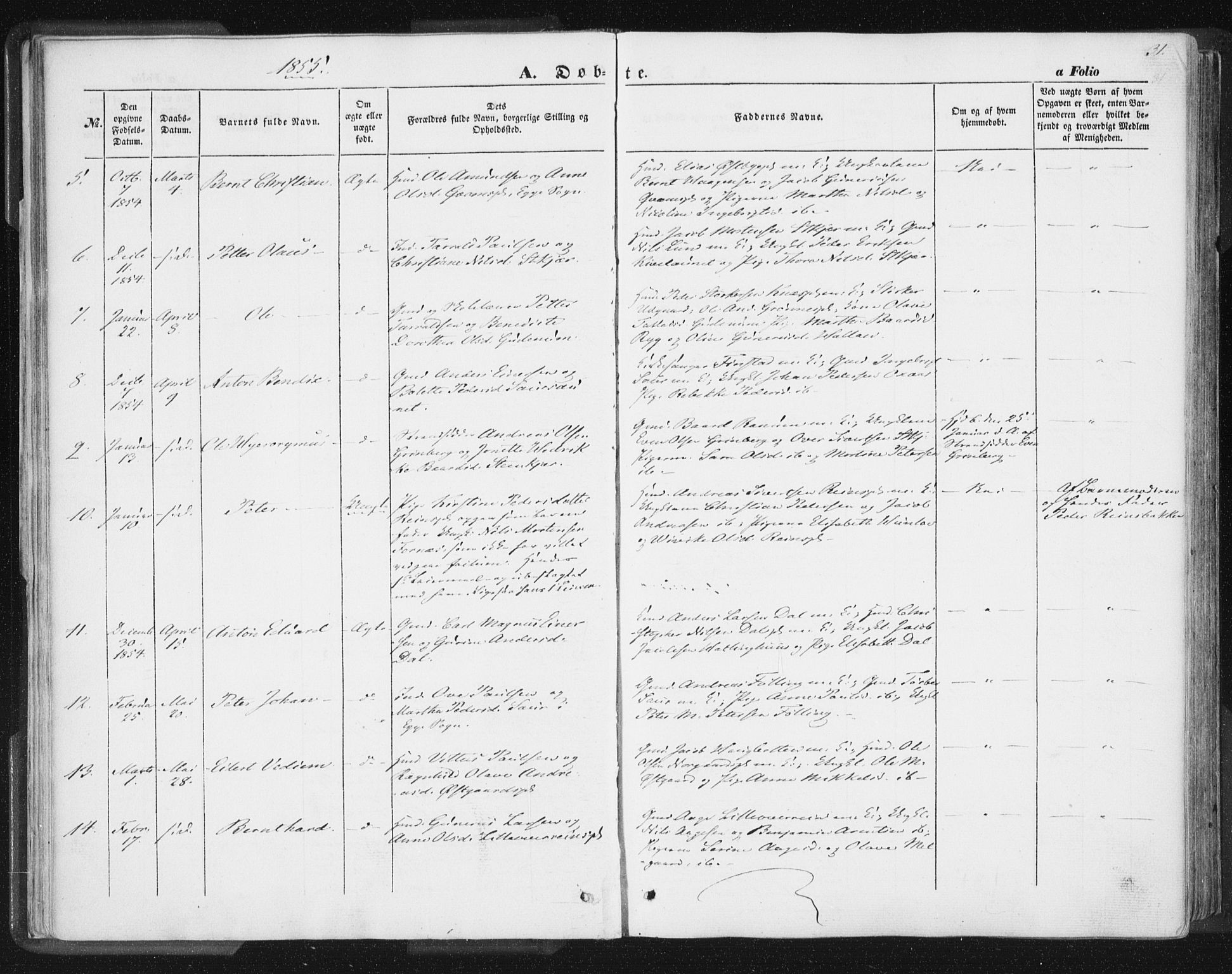 Ministerialprotokoller, klokkerbøker og fødselsregistre - Nord-Trøndelag, SAT/A-1458/746/L0446: Parish register (official) no. 746A05, 1846-1859, p. 31