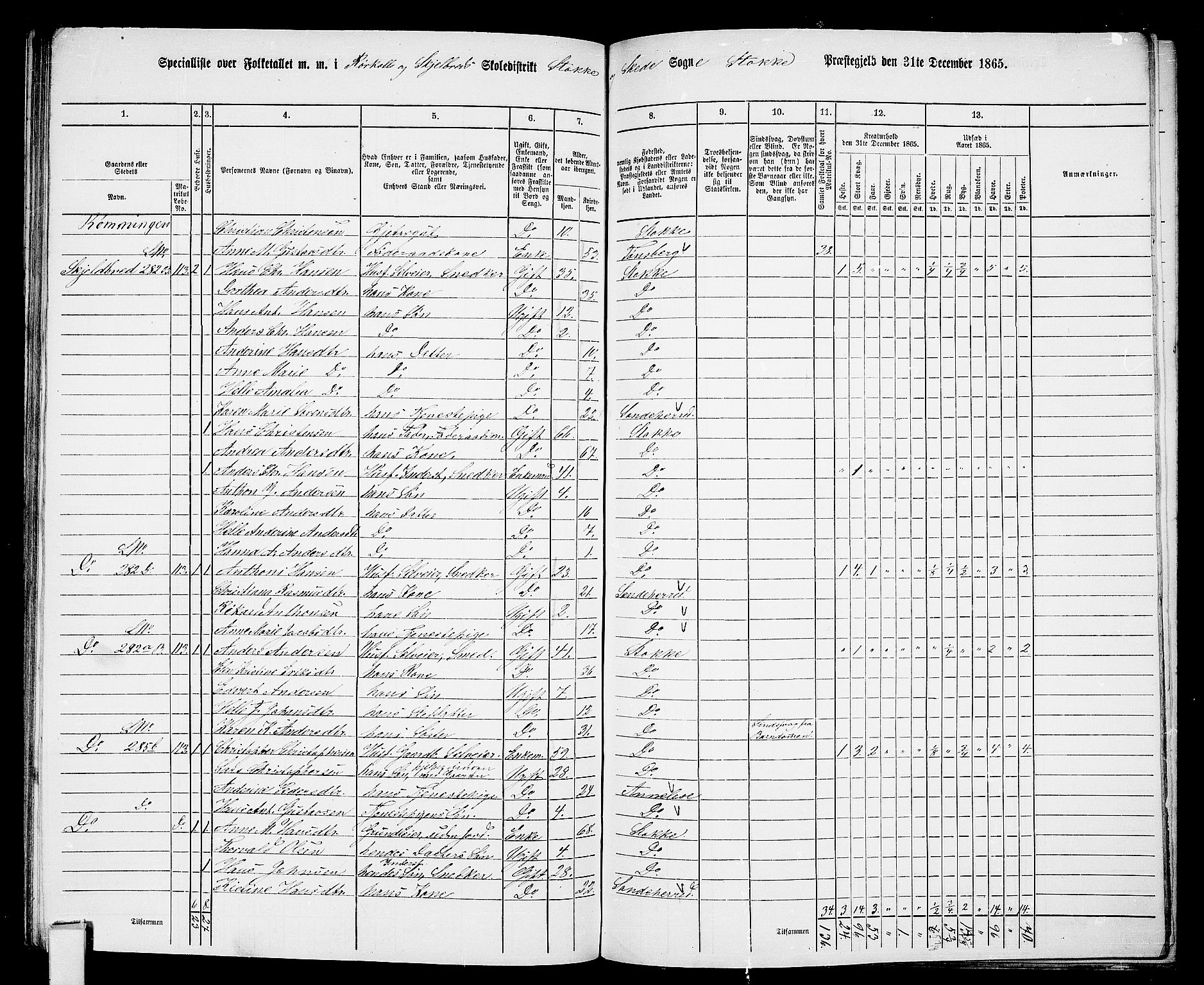 RA, 1865 census for Stokke, 1865, p. 121