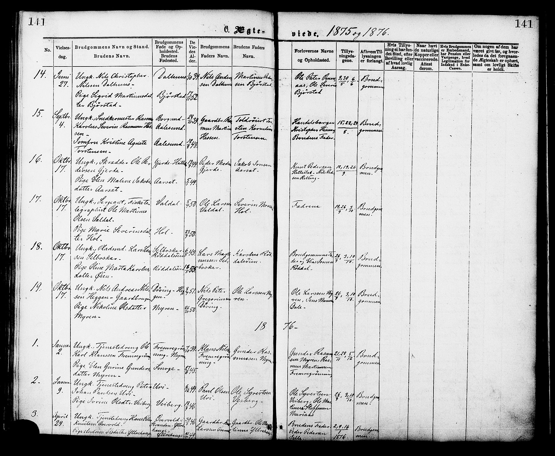 Ministerialprotokoller, klokkerbøker og fødselsregistre - Møre og Romsdal, SAT/A-1454/519/L0254: Parish register (official) no. 519A13, 1868-1883, p. 141