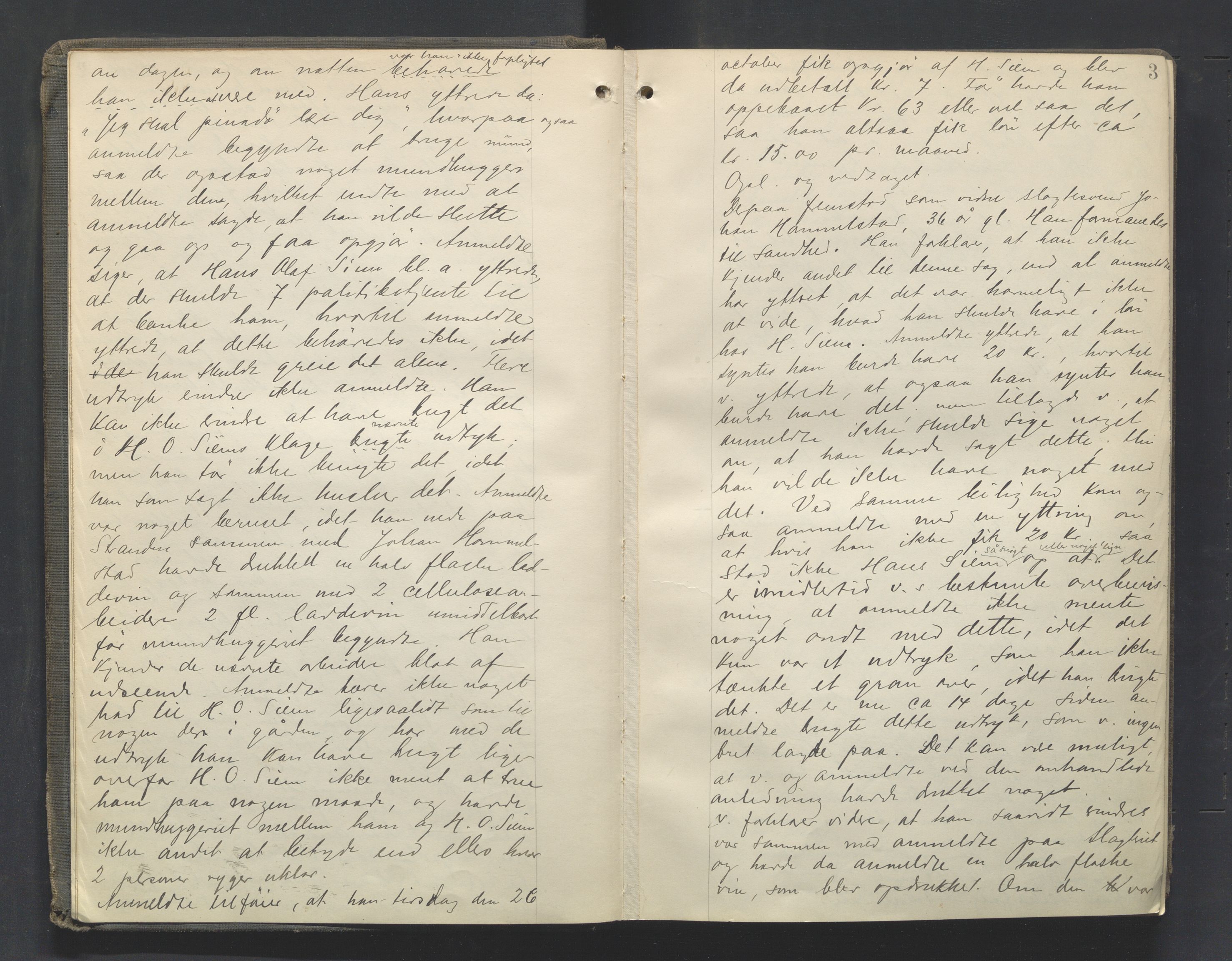 Toten tingrett, AV/SAH-TING-006/G/Gb/Gbb/L0008: Justisprotokoll, 1897-1900, p. 2b-3a