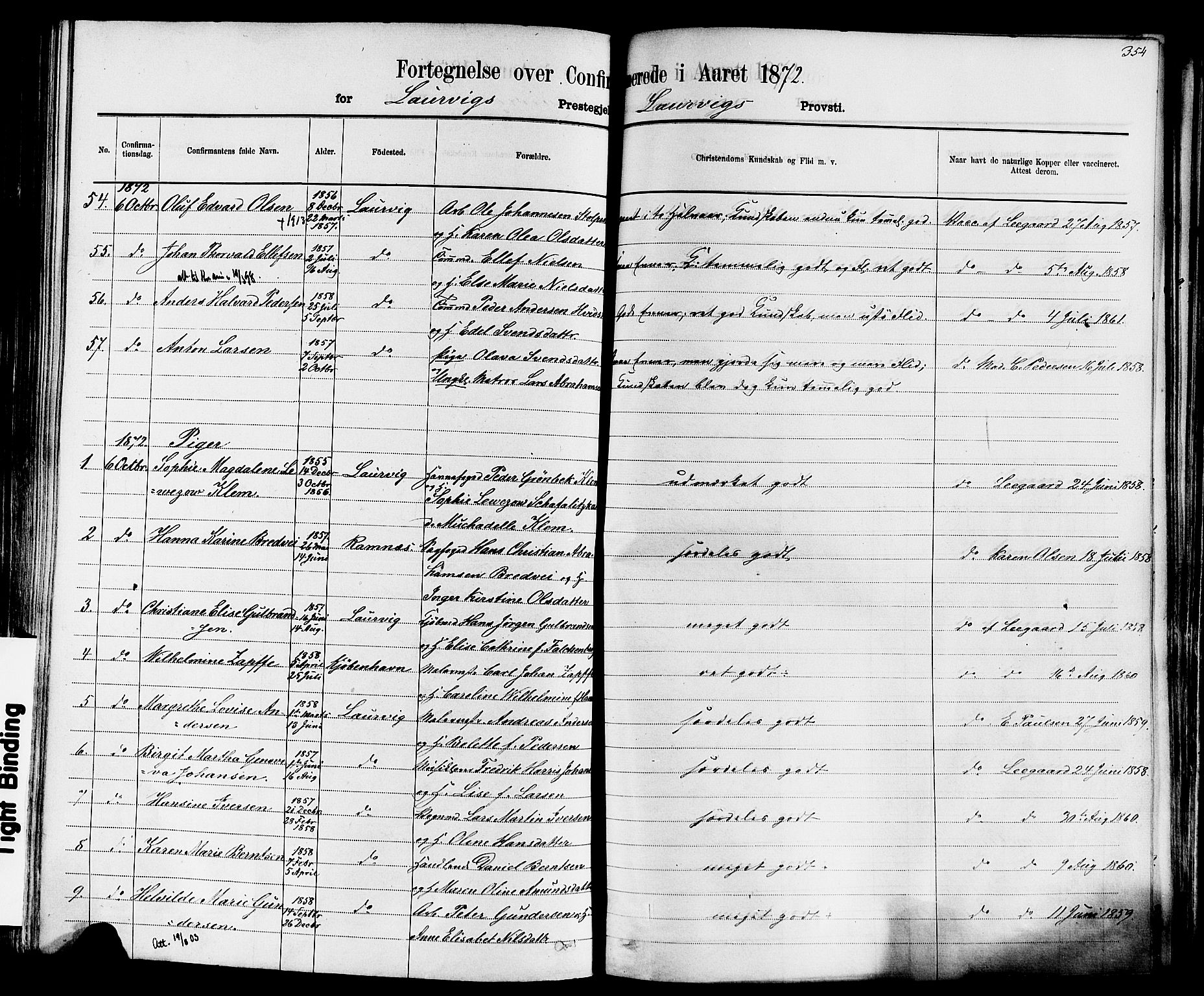 Larvik kirkebøker, SAKO/A-352/F/Fa/L0006: Parish register (official) no. I 6, 1871-1883, p. 354
