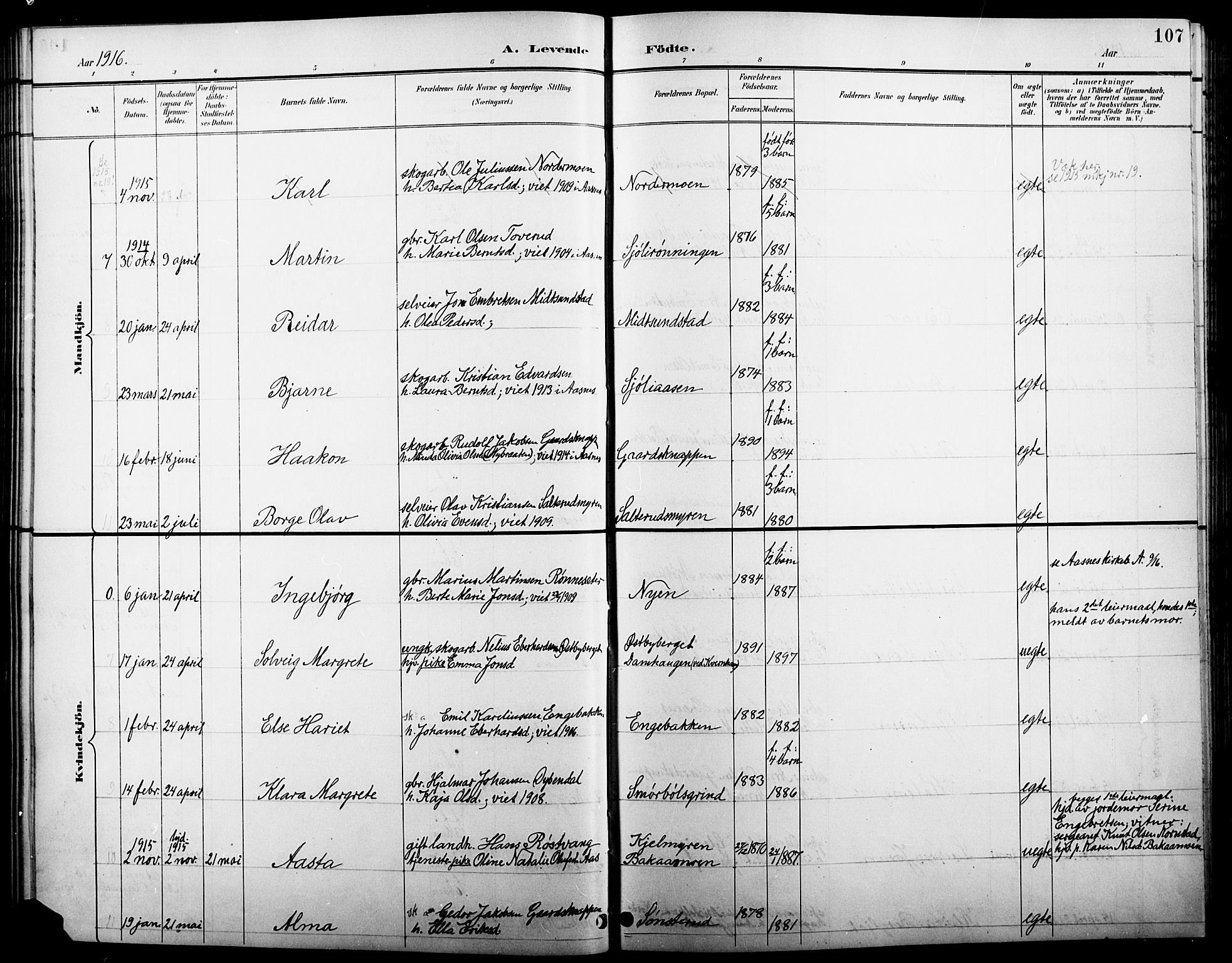 Åsnes prestekontor, AV/SAH-PREST-042/H/Ha/Hab/L0005: Parish register (copy) no. 5, 1895-1920, p. 107