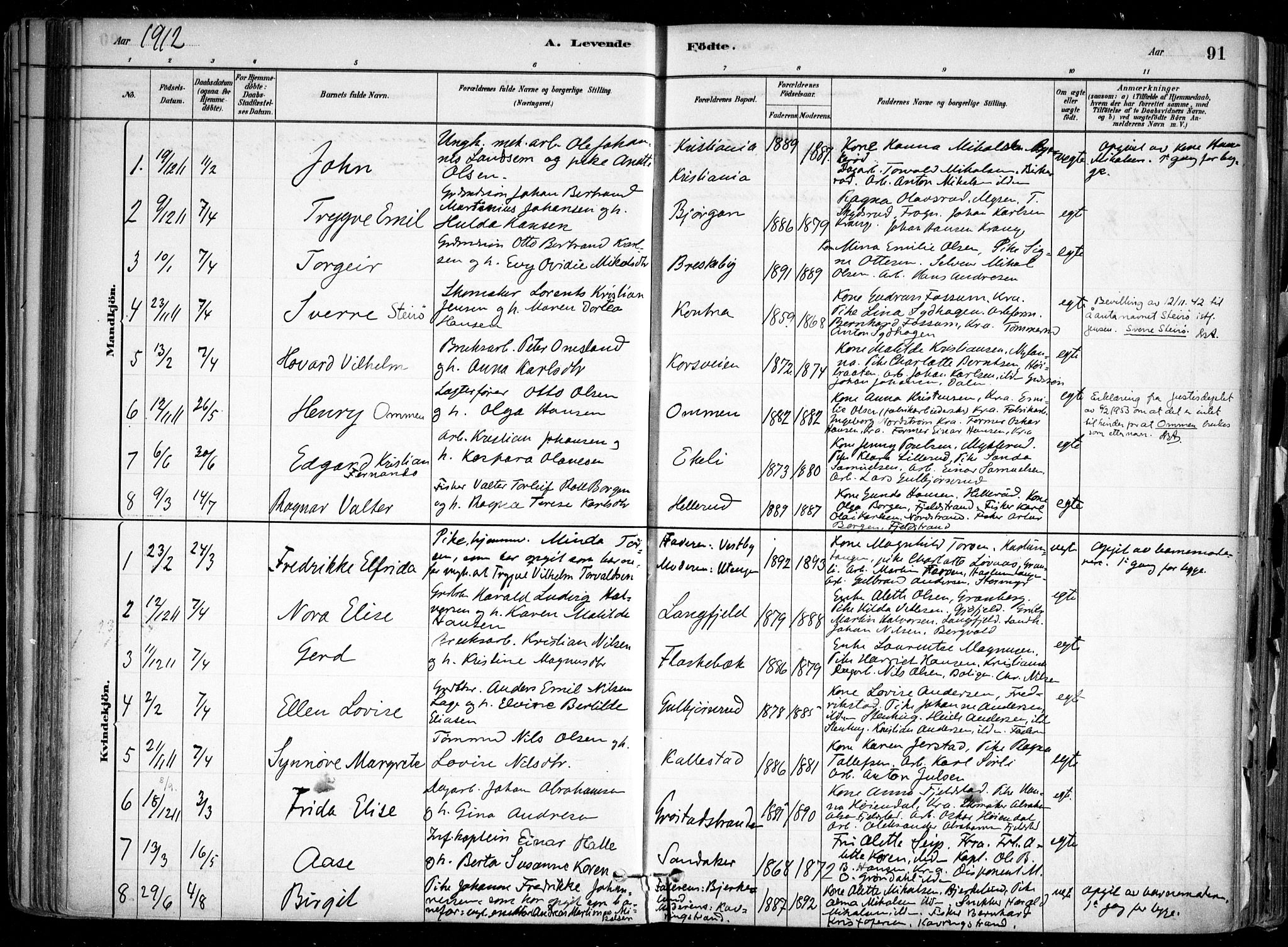 Nesodden prestekontor Kirkebøker, SAO/A-10013/F/Fa/L0009: Parish register (official) no. I 9, 1880-1915, p. 91