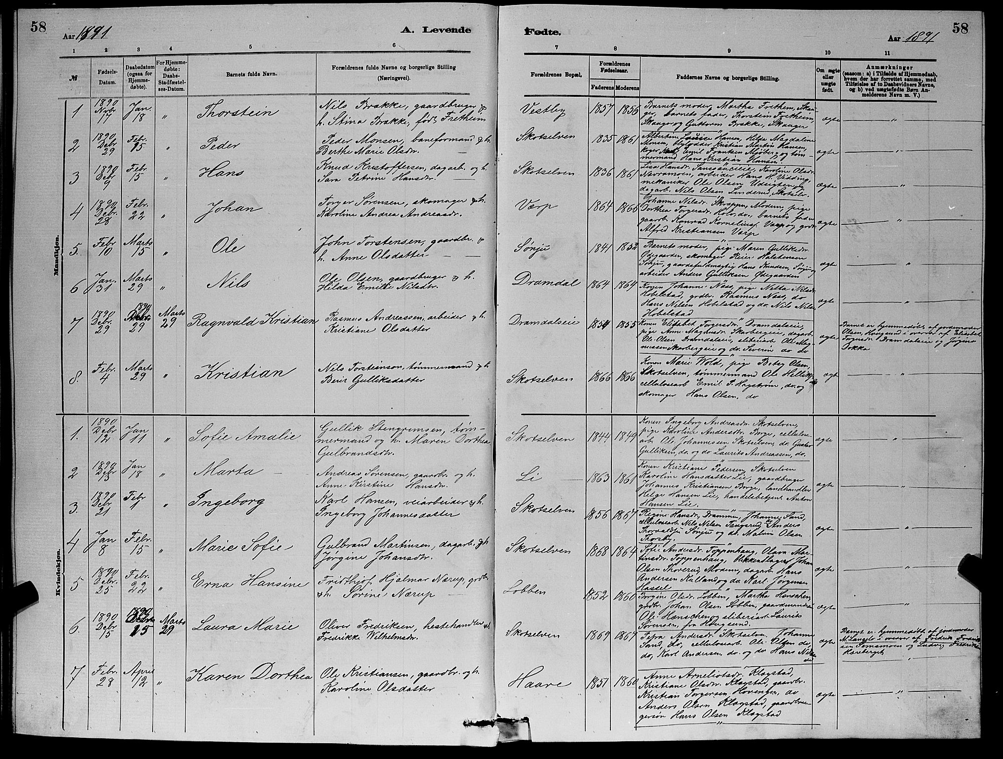 Eiker kirkebøker, AV/SAKO-A-4/G/Gb/L0003: Parish register (copy) no. II 3, 1880-1893, p. 58