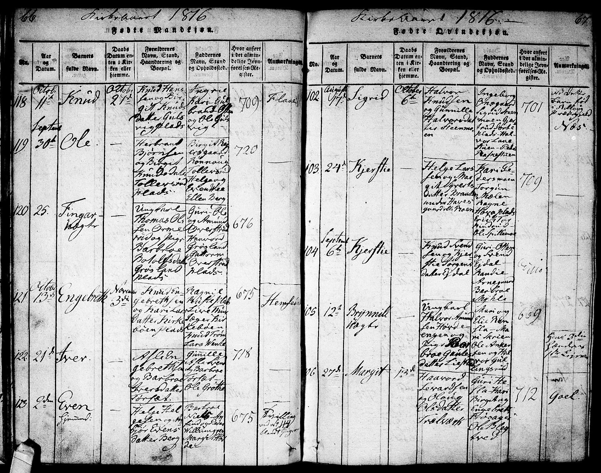 Nes kirkebøker, AV/SAKO-A-236/F/Fa/L0007: Parish register (official) no. 7, 1815-1823, p. 66-67