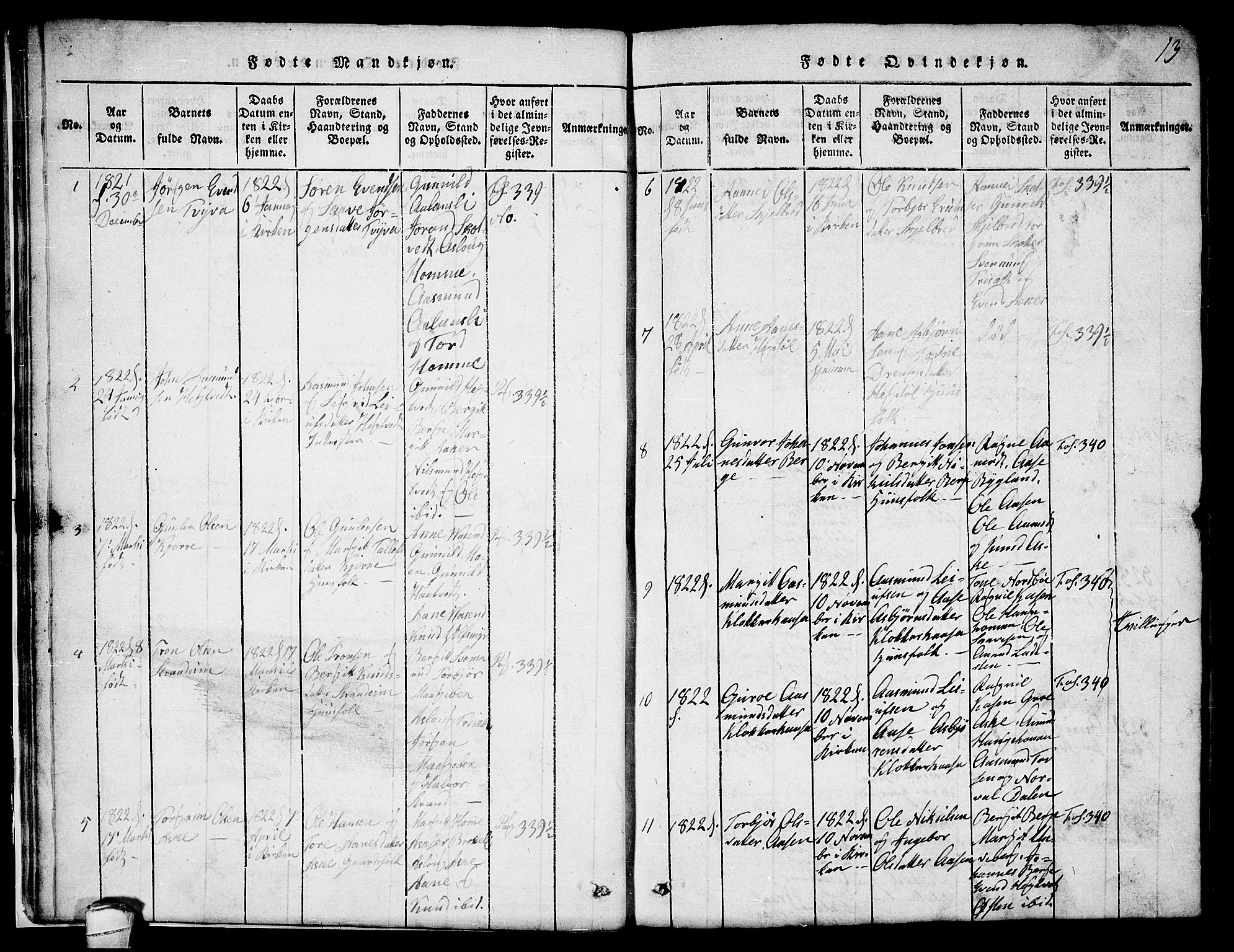 Lårdal kirkebøker, SAKO/A-284/G/Ga/L0001: Parish register (copy) no. I 1, 1815-1861, p. 13