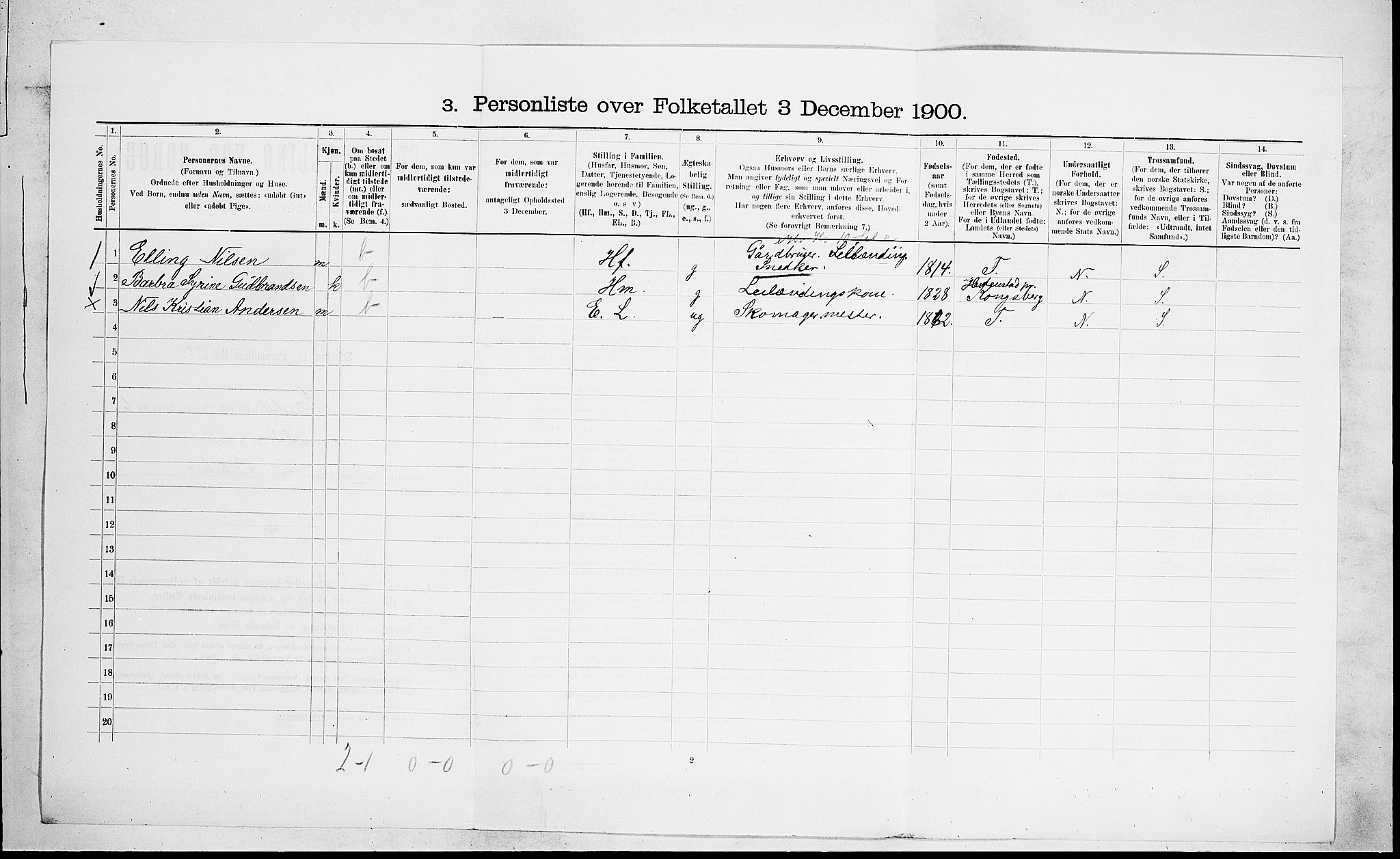 RA, 1900 census for Lardal, 1900, p. 880