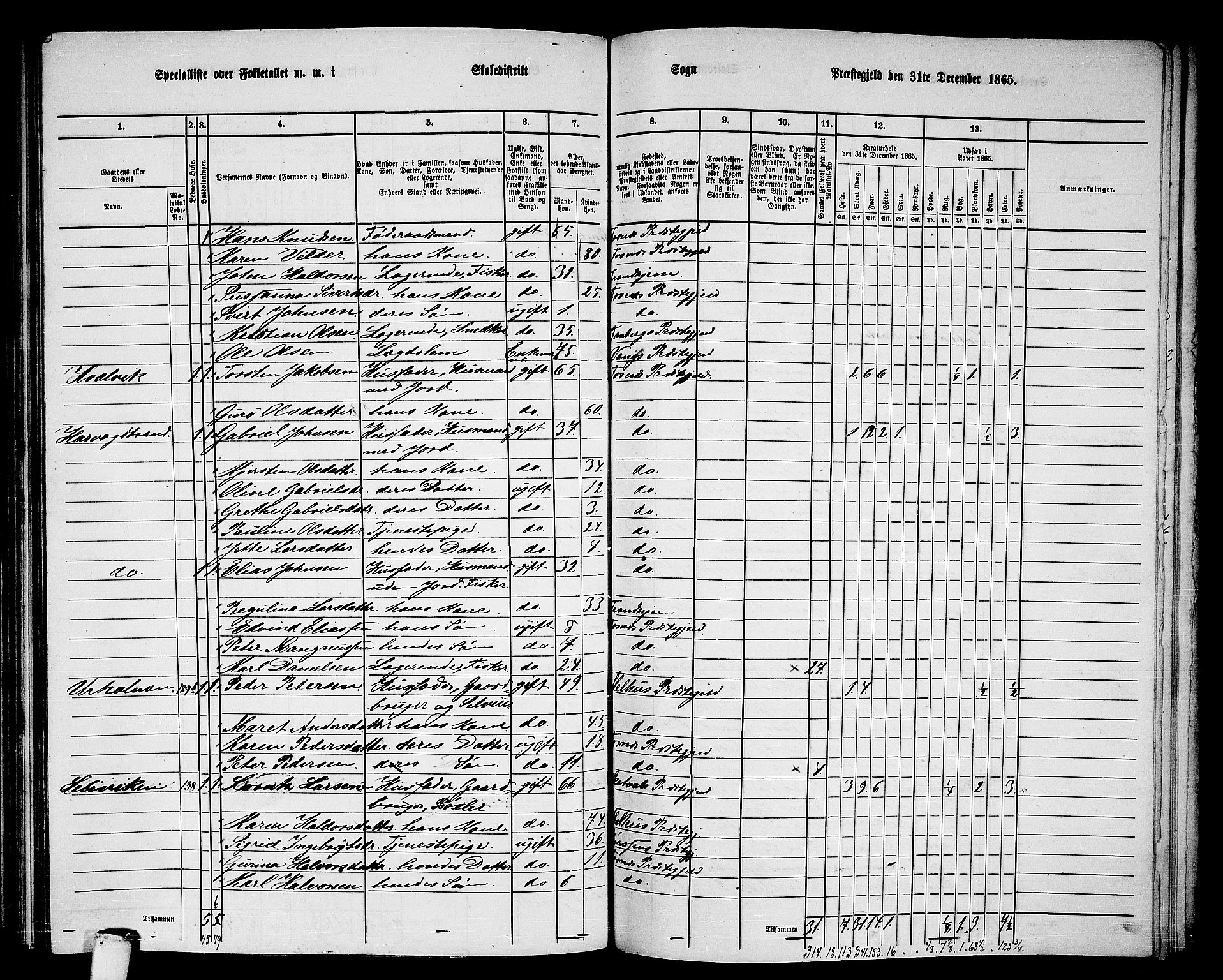 RA, 1865 census for Fosnes, 1865, p. 126