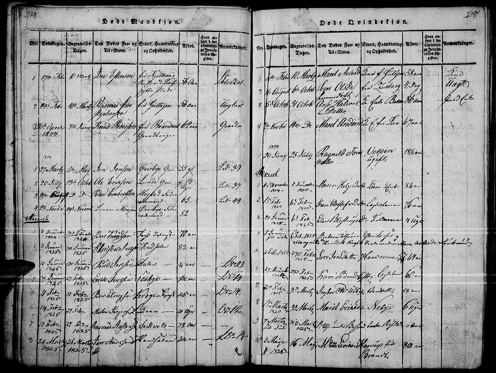 Tynset prestekontor, SAH/PREST-058/H/Ha/Haa/L0018: Parish register (official) no. 18, 1815-1829, p. 214-215
