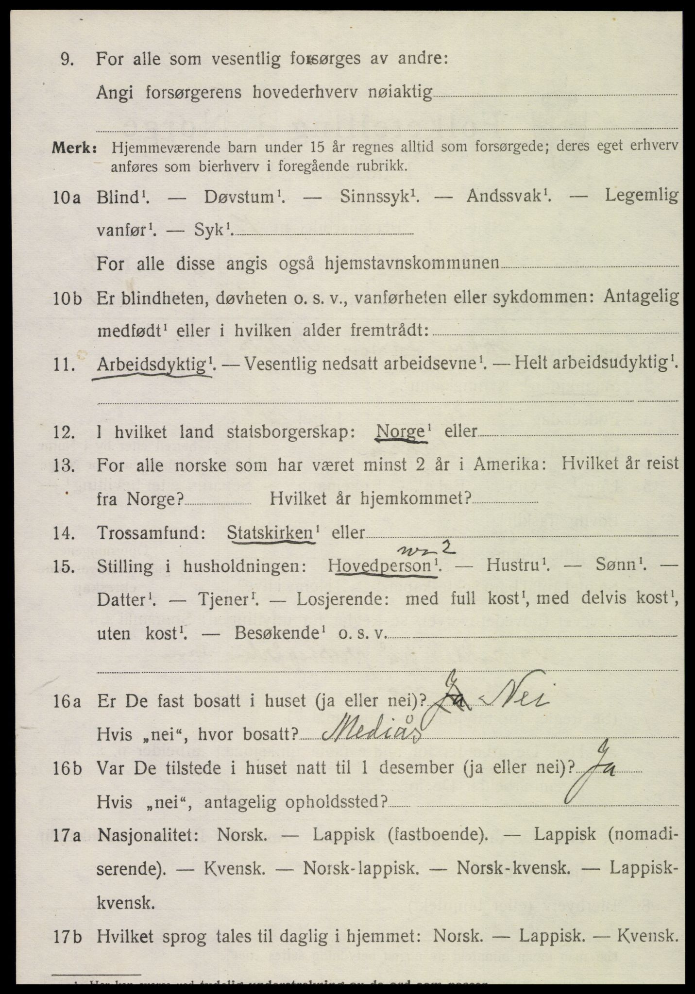 SAT, 1920 census for Snåsa, 1920, p. 4119