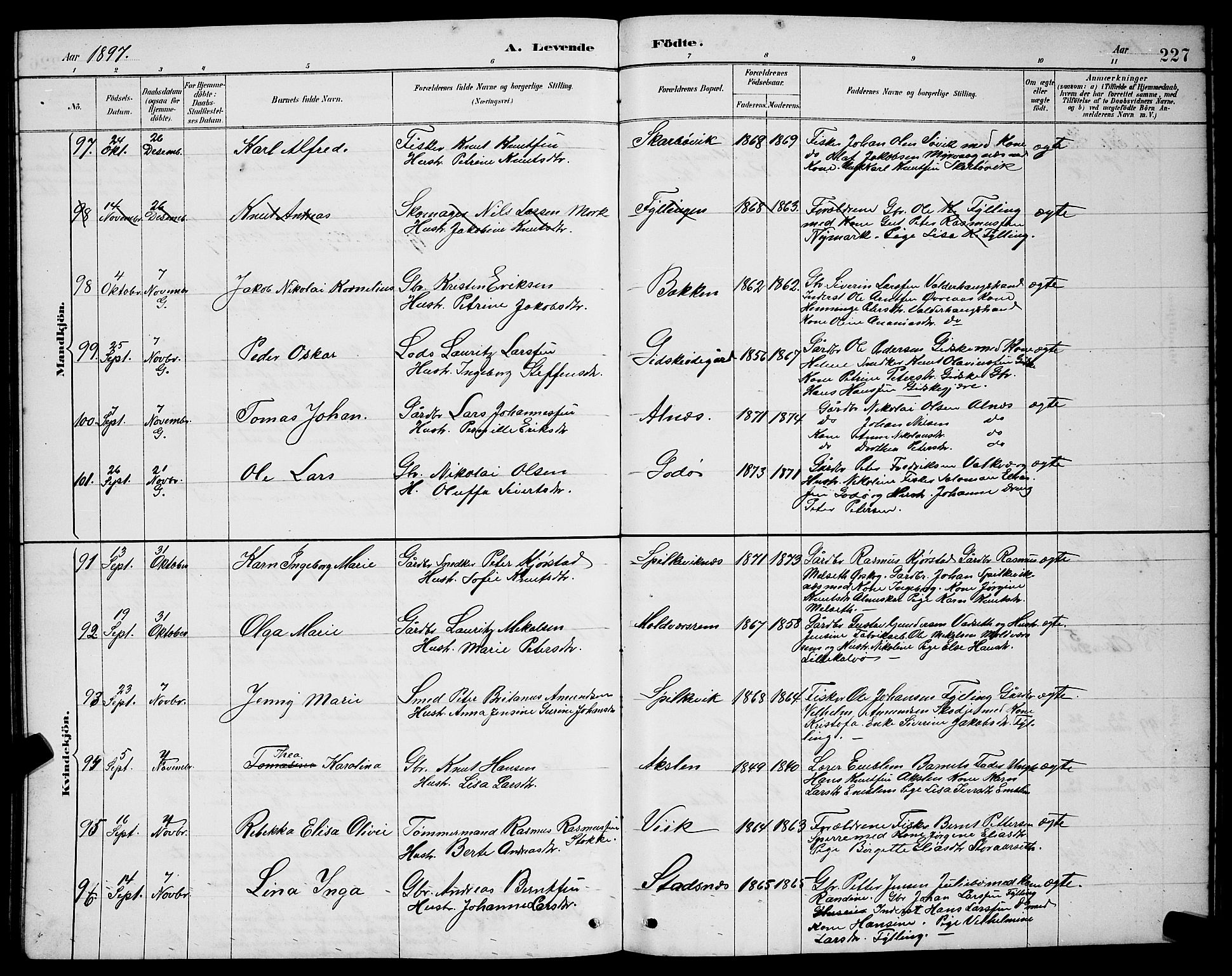 Ministerialprotokoller, klokkerbøker og fødselsregistre - Møre og Romsdal, AV/SAT-A-1454/528/L0431: Parish register (copy) no. 528C12, 1885-1898, p. 227