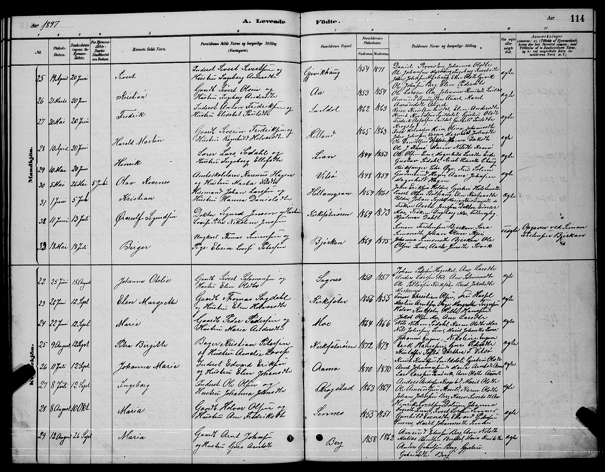 Ministerialprotokoller, klokkerbøker og fødselsregistre - Sør-Trøndelag, AV/SAT-A-1456/630/L0504: Parish register (copy) no. 630C02, 1879-1898, p. 114