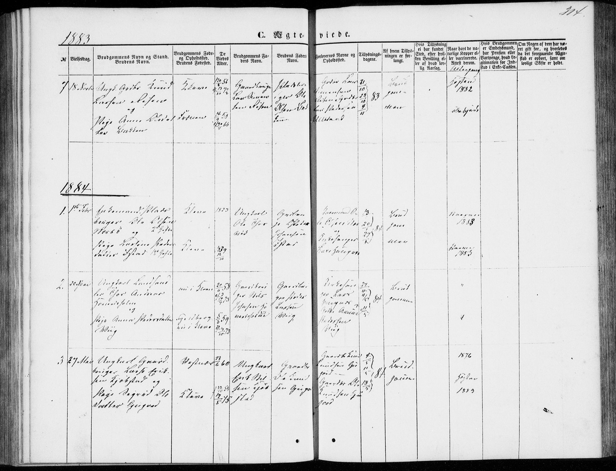 Ministerialprotokoller, klokkerbøker og fødselsregistre - Møre og Romsdal, SAT/A-1454/557/L0681: Parish register (official) no. 557A03, 1869-1886, p. 314