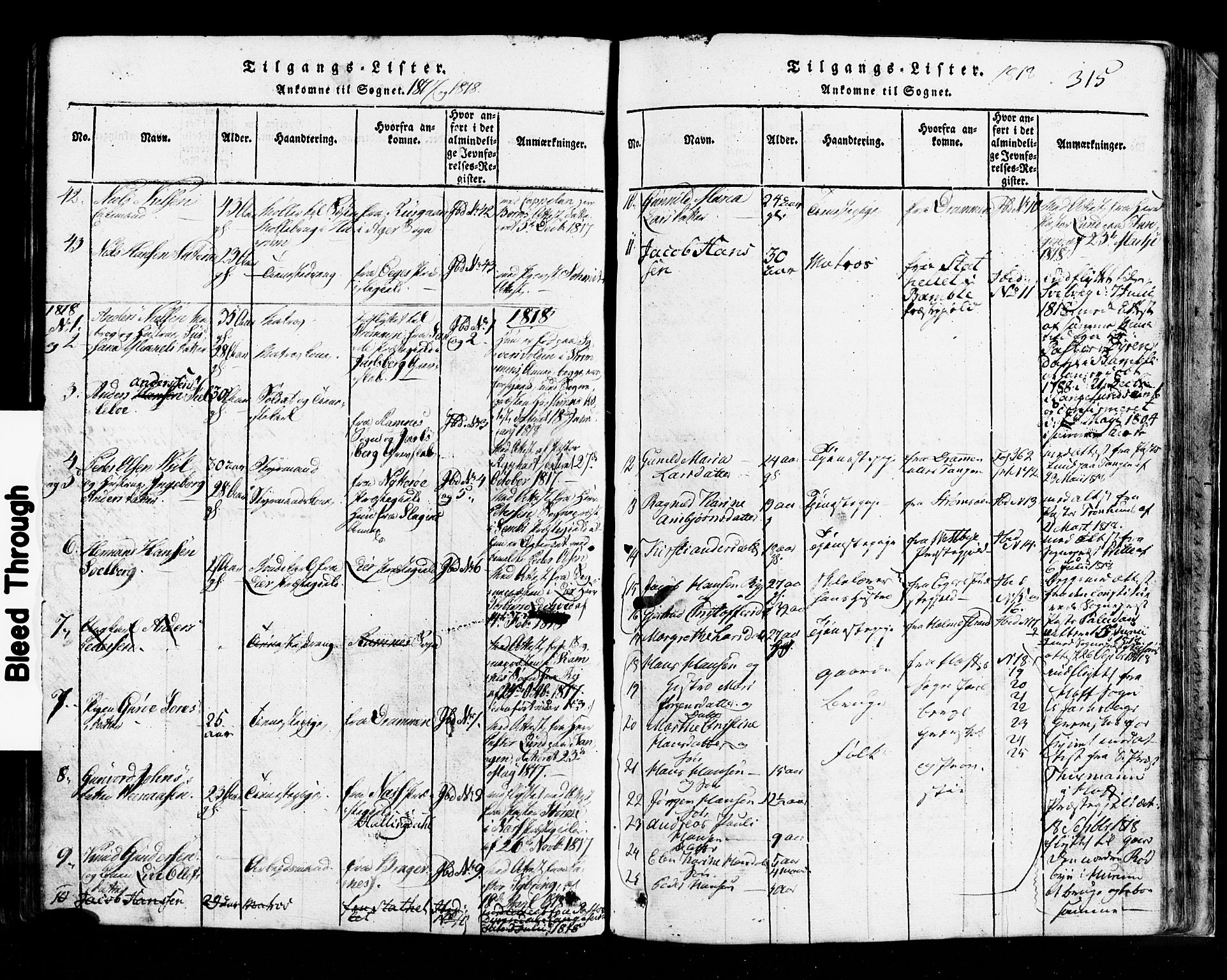 Hurum kirkebøker, AV/SAKO-A-229/G/Ga/L0001: Parish register (copy) no. I 1, 1816-1826, p. 315