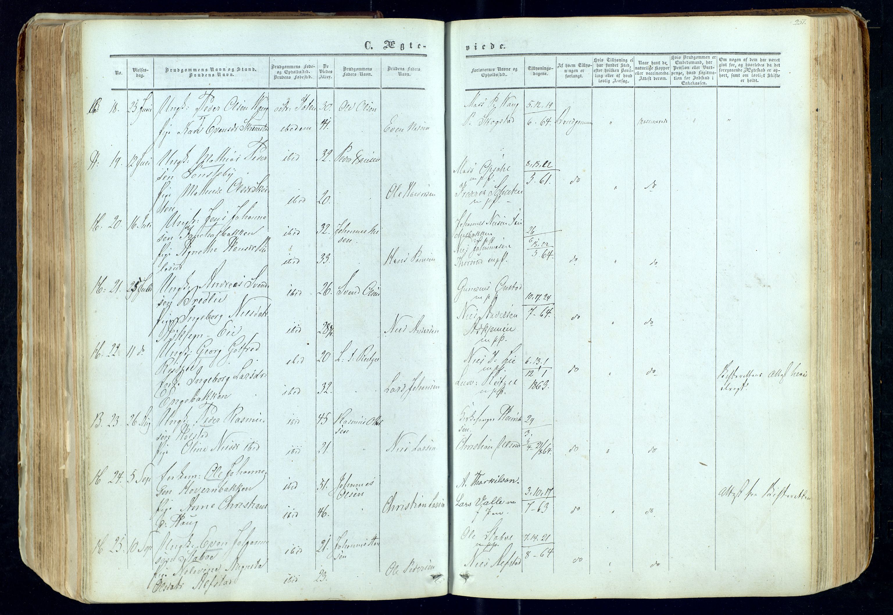 Østre Toten prestekontor, AV/SAH-PREST-104/H/Ha/Haa/L0004: Parish register (official) no. 4, 1857-1865, p. 251